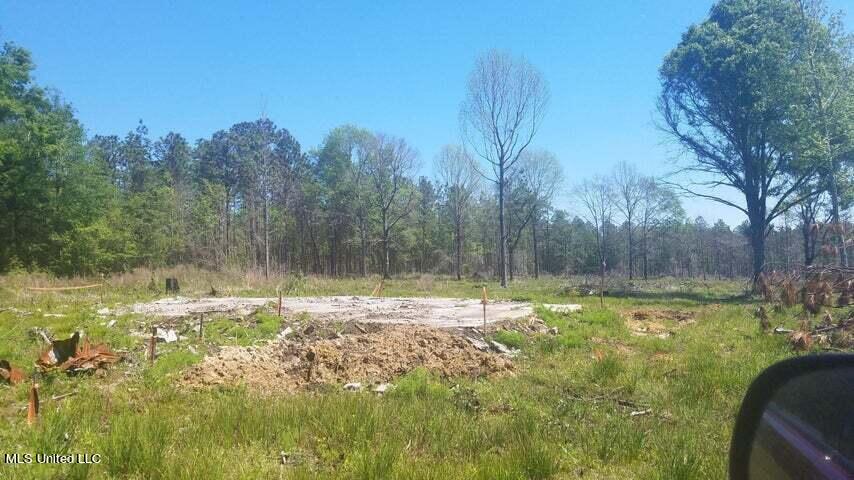 0 Highway 49 Property Photo 11
