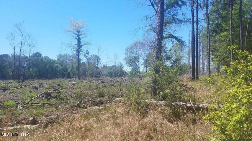 0 Highway 49 Property Photo 13