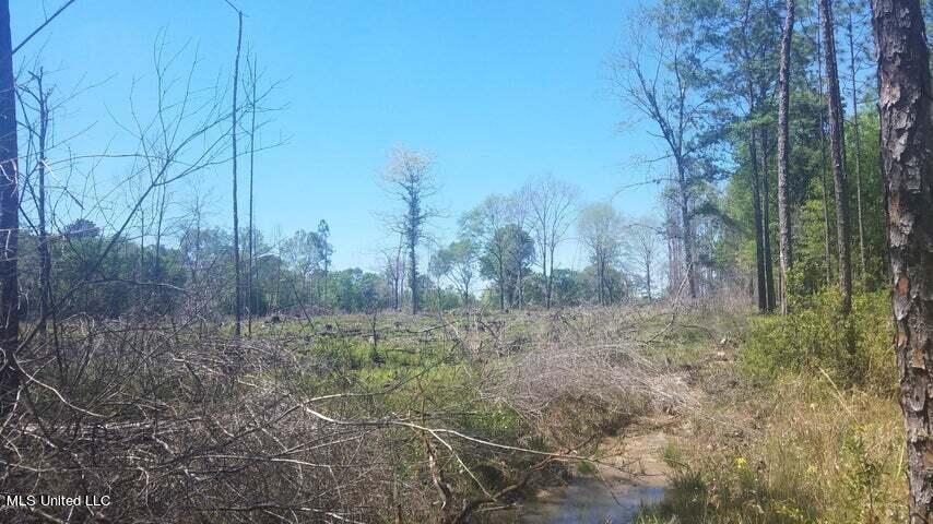 0 Highway 49 Property Photo 14