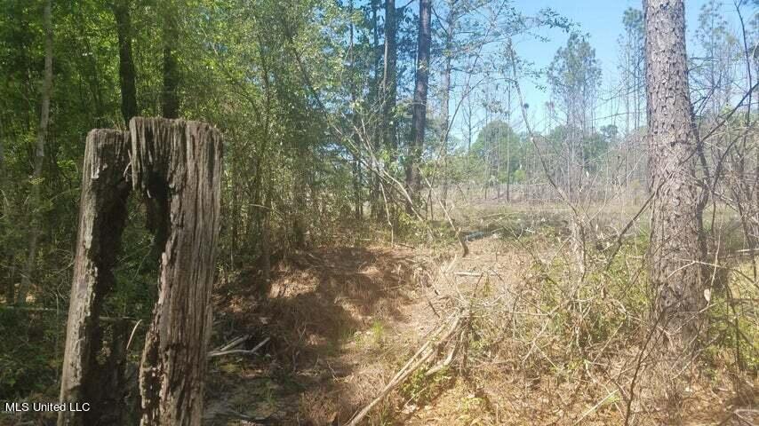 0 Highway 49 Property Photo 15