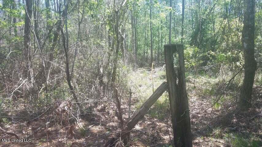 0 Highway 49 Property Photo 16