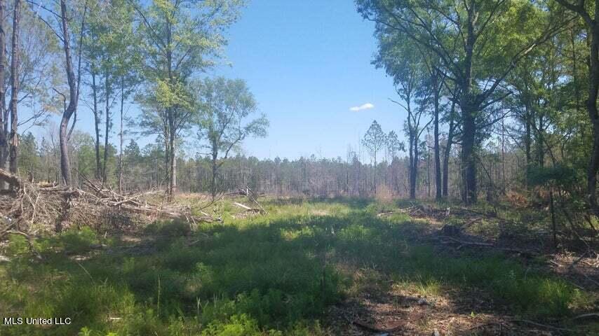 0 Highway 49 Property Photo 18