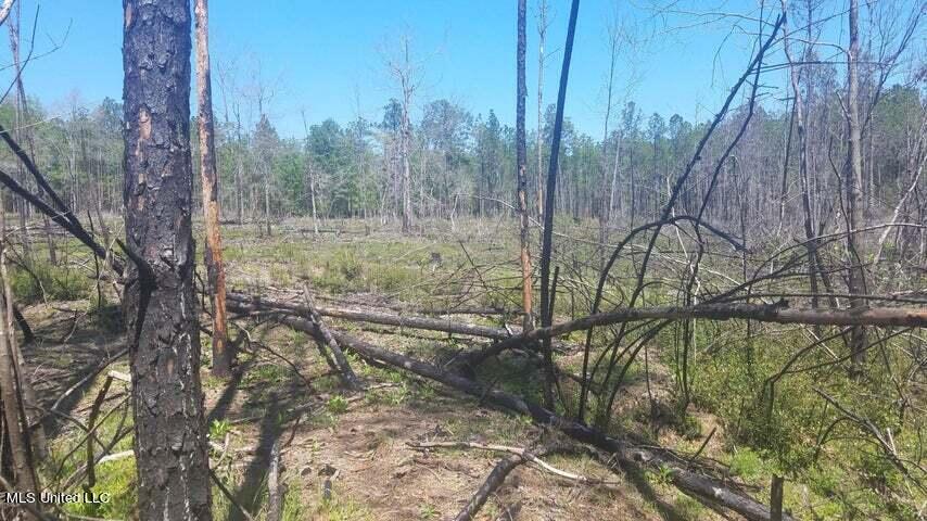 0 Highway 49 Property Photo 19