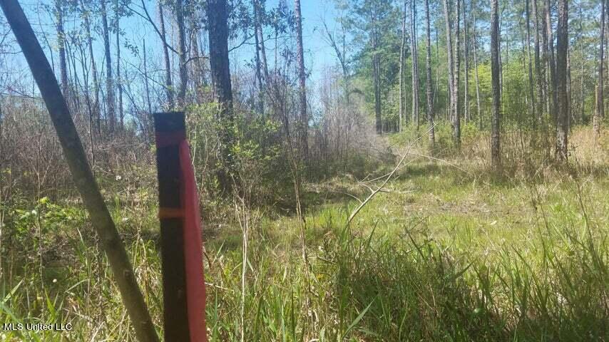 0 Highway 49 Property Photo 20