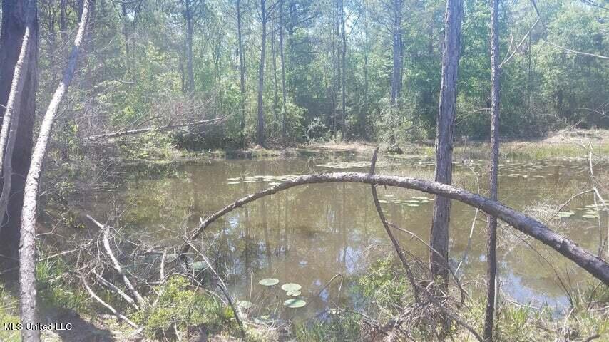 0 Highway 49 Property Photo 23