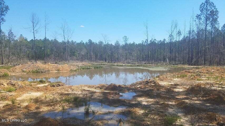 0 Highway 49 Property Photo 24