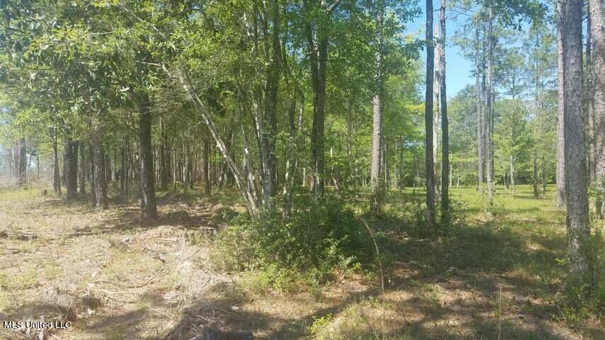 0 Highway 49 Property Photo 45