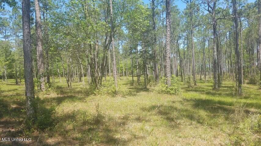 0 Highway 49 Property Photo 46