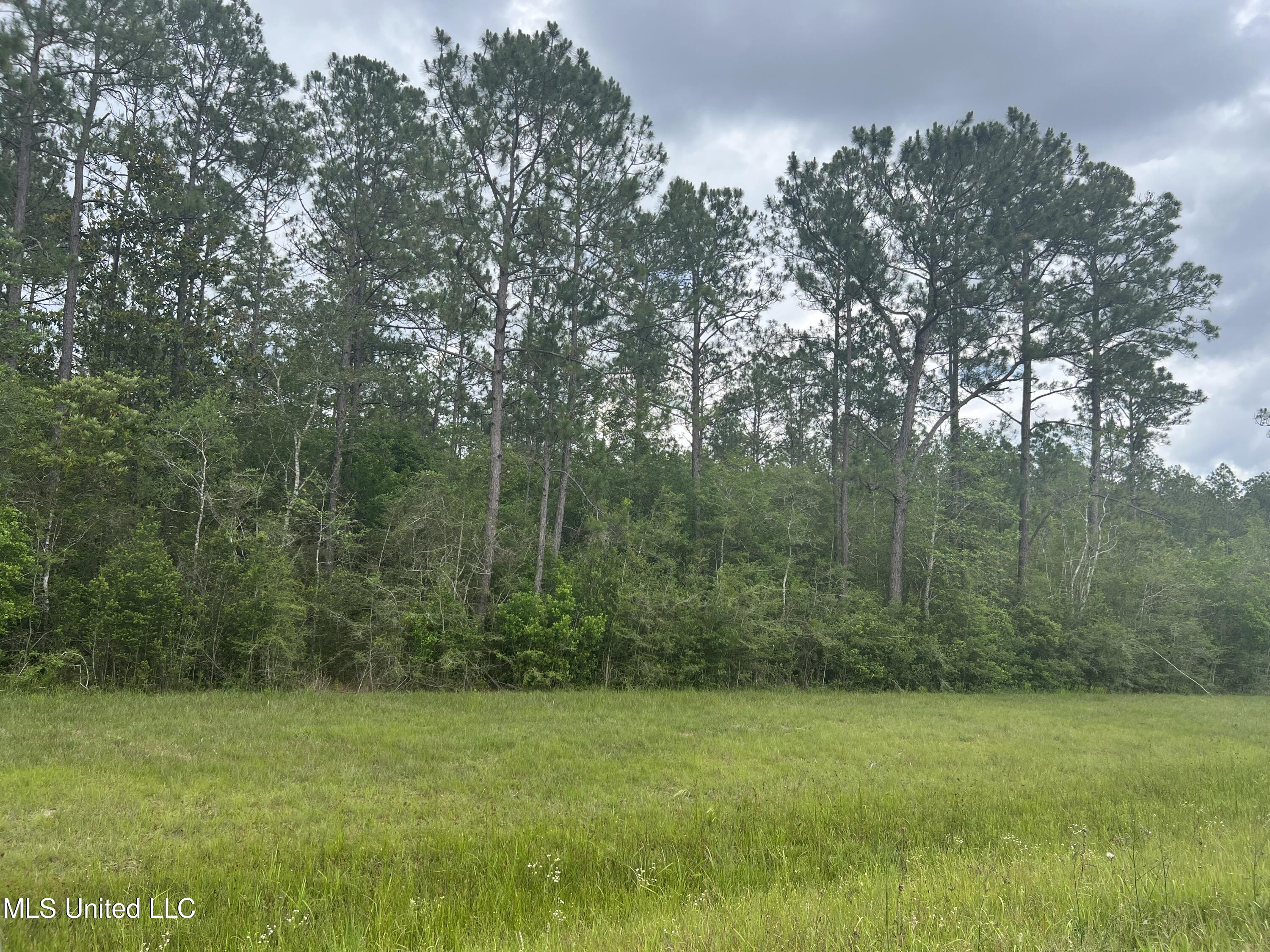 Highway 63, Moss Point, MS 39562 | MLS#: 4047997 | Moss Point Real Estate