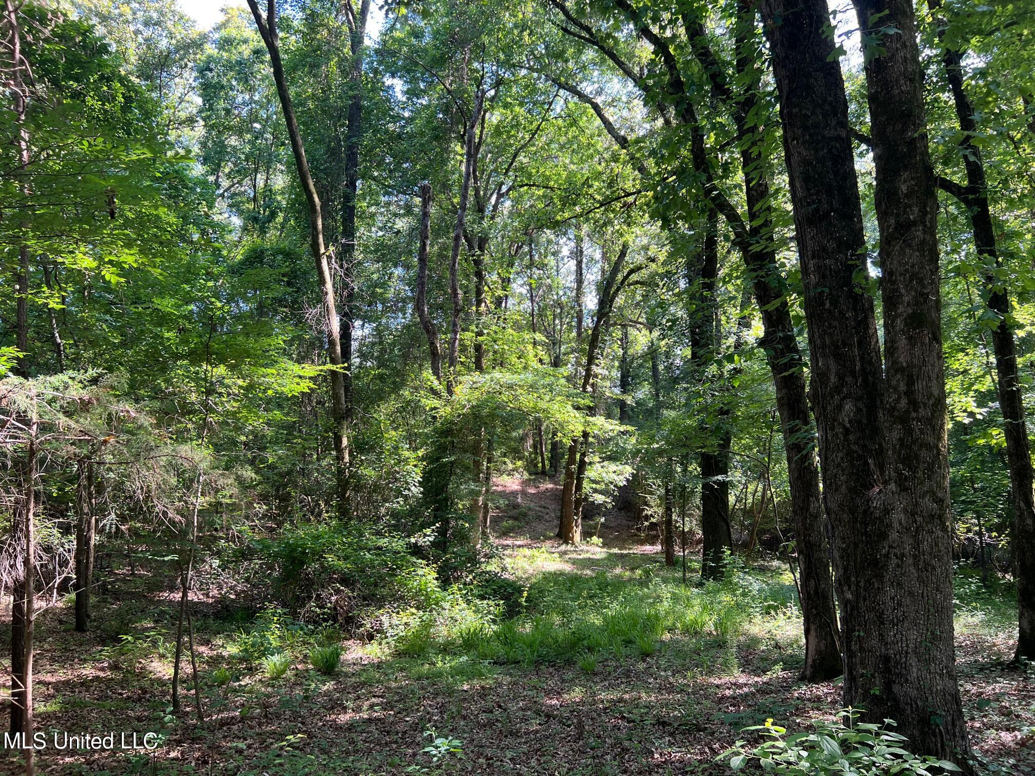 N Livingston Road Property Photo 11