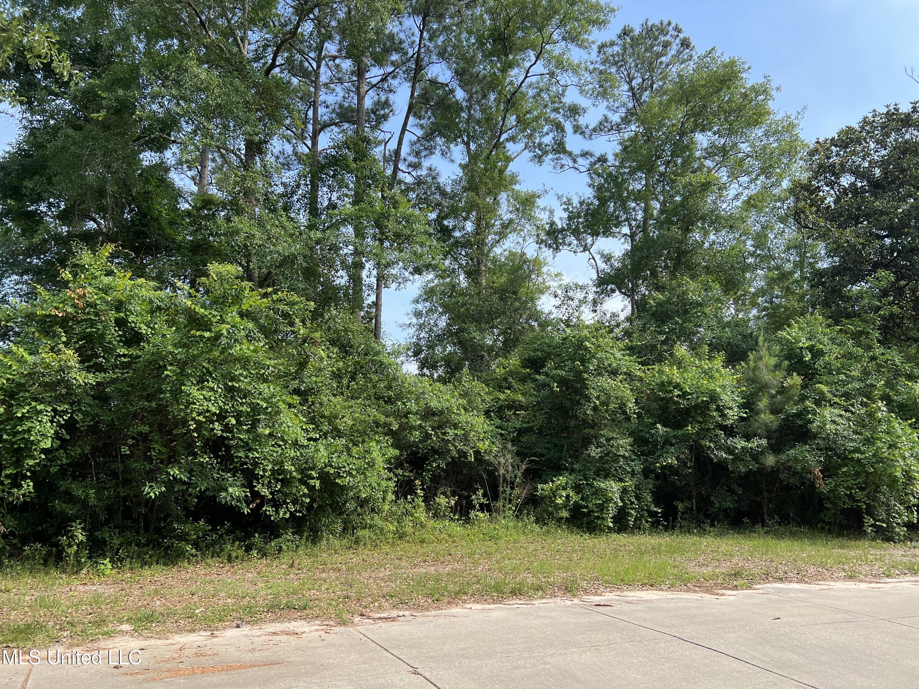 Fox Run Cove Property Photo 3