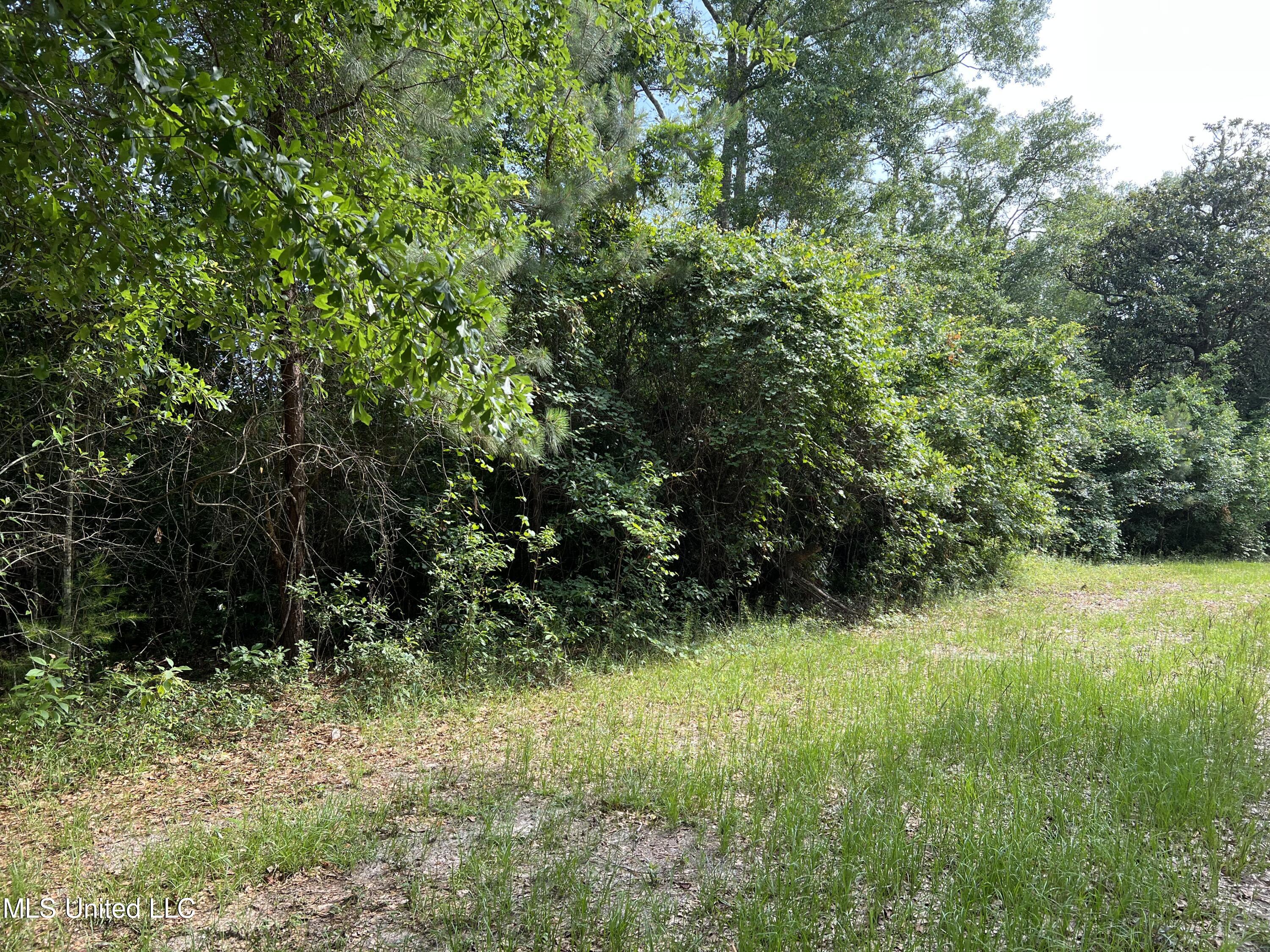 Fox Run Cove Property Photo 6