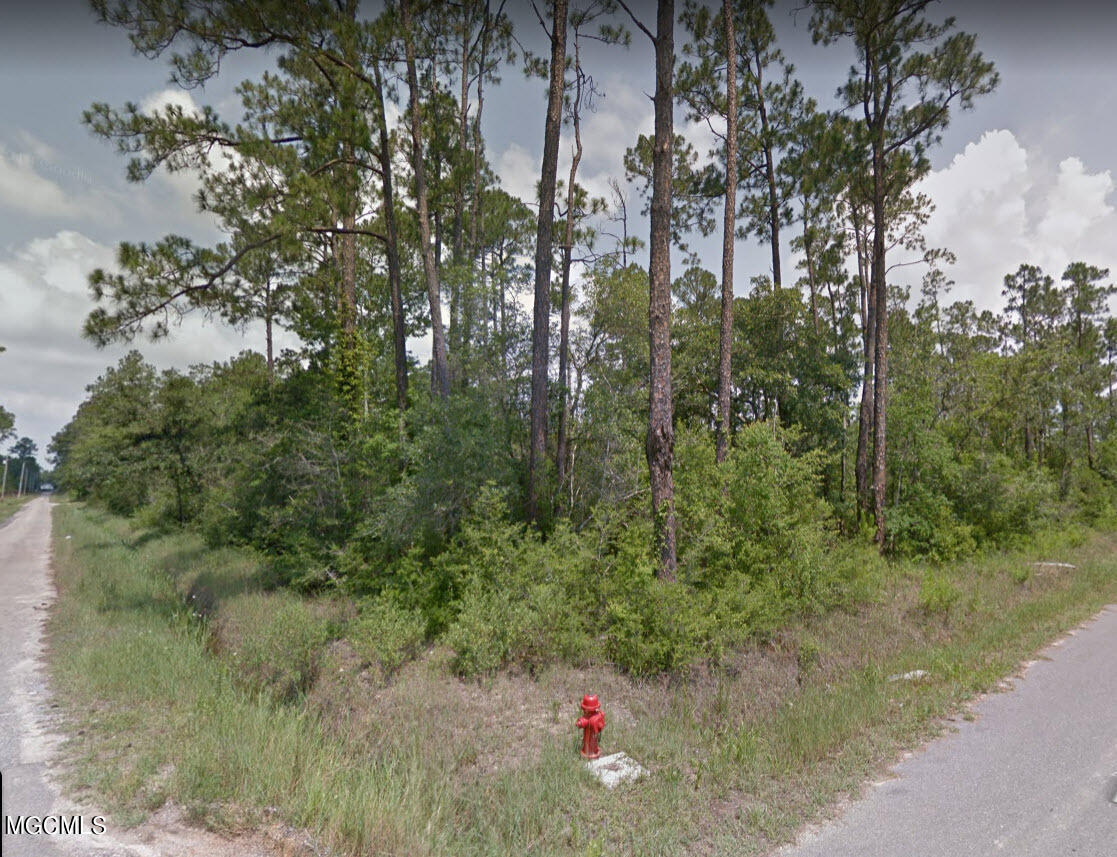 Lot 61-64 Apricot Street Property Photo 2