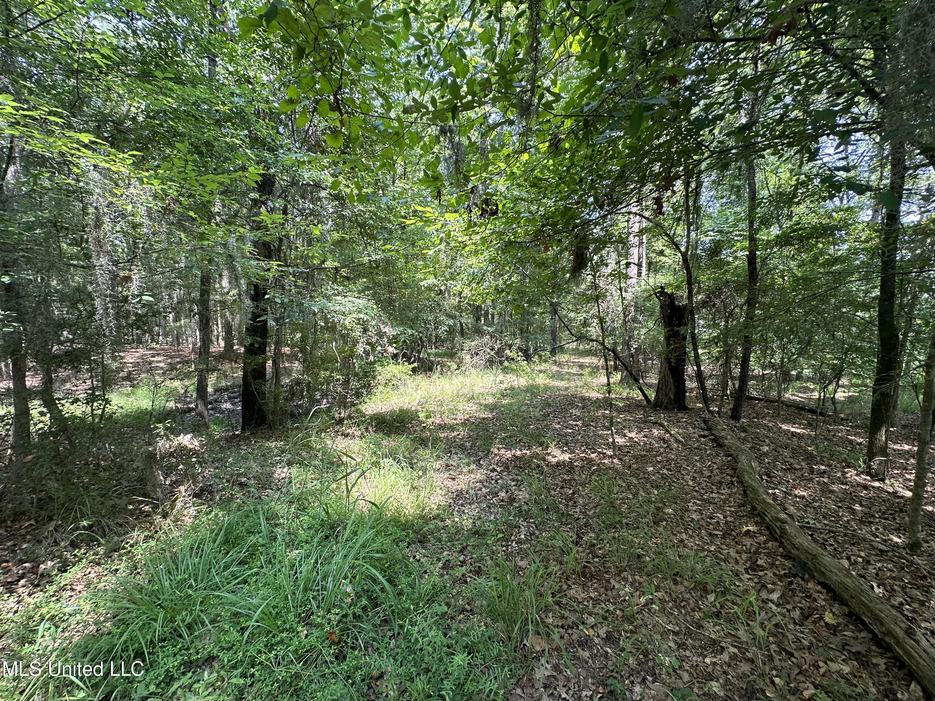 0 Bellemeade Drive Property Photo 2
