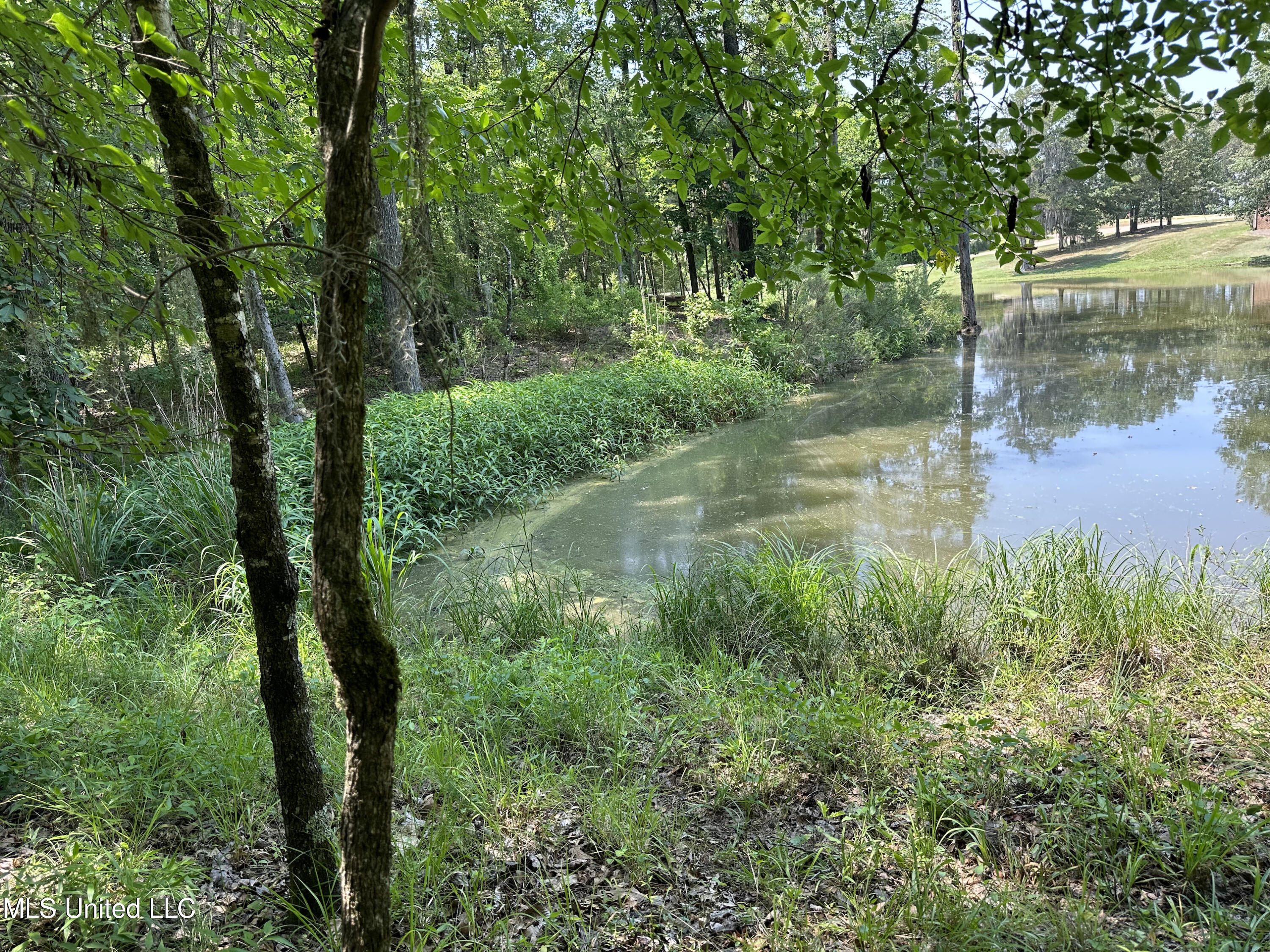 0 Bellemeade Drive Property Photo 3