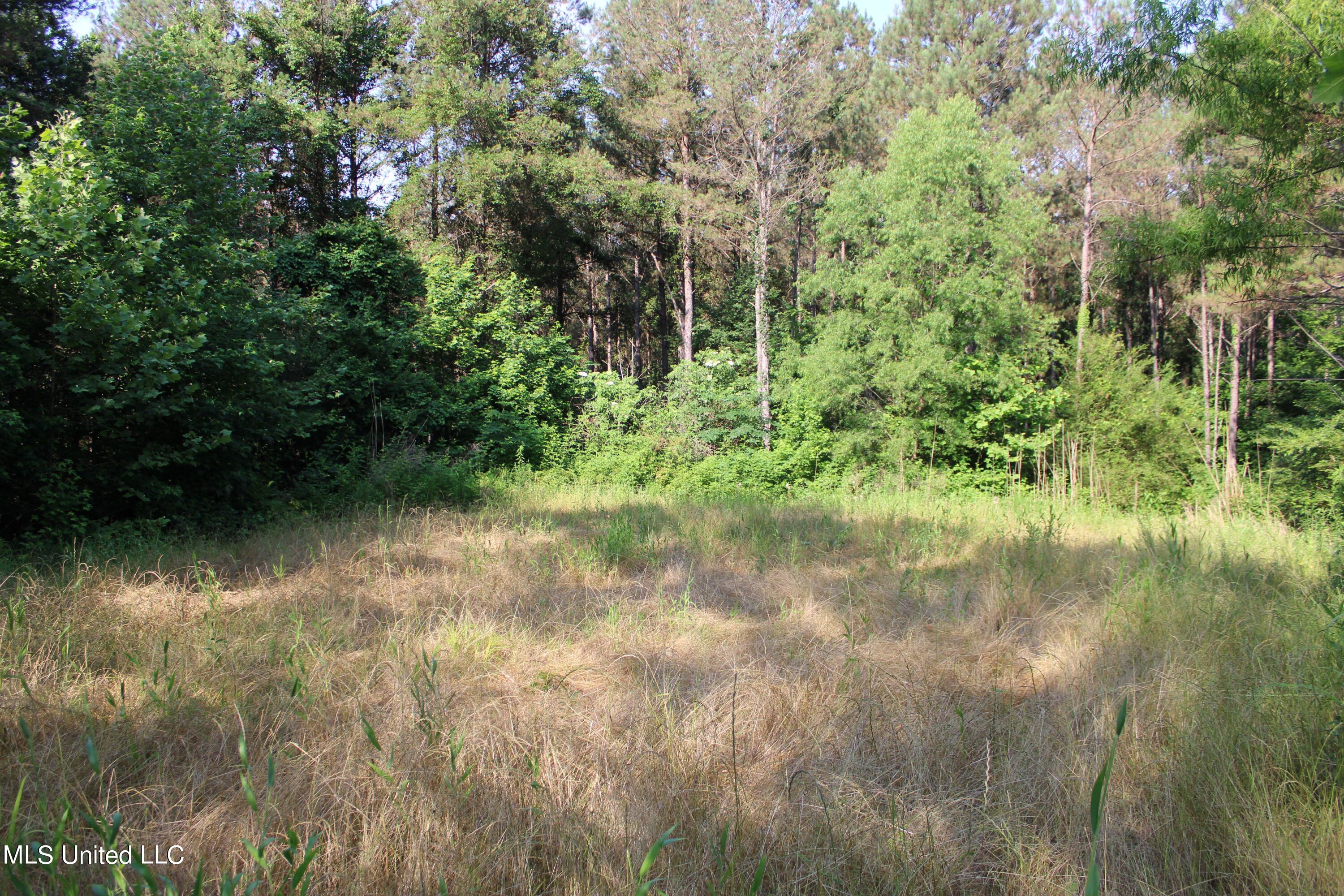 County Road 227 Property Photo 6