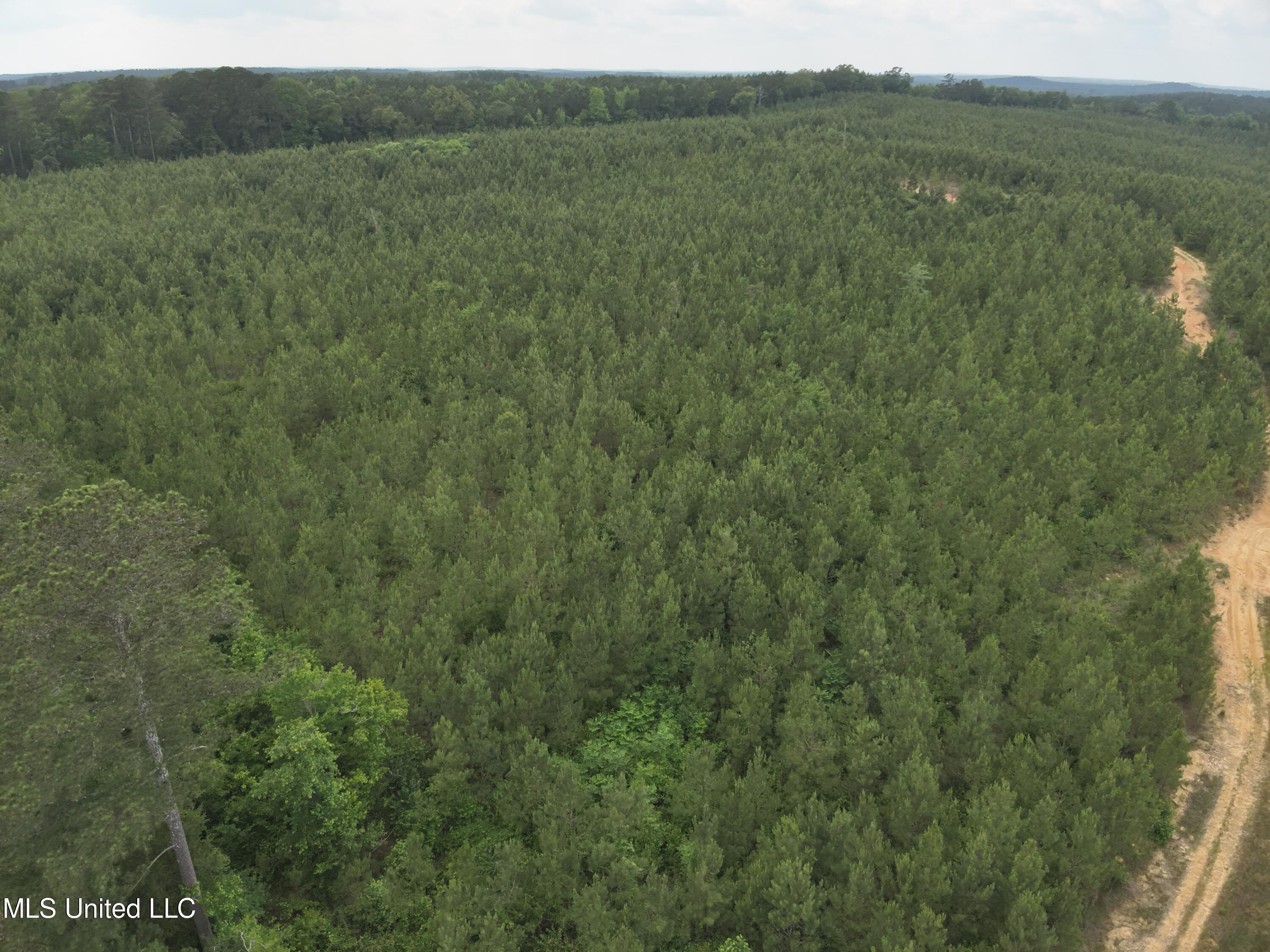 Old Pickens Rd Road Property Photo 3