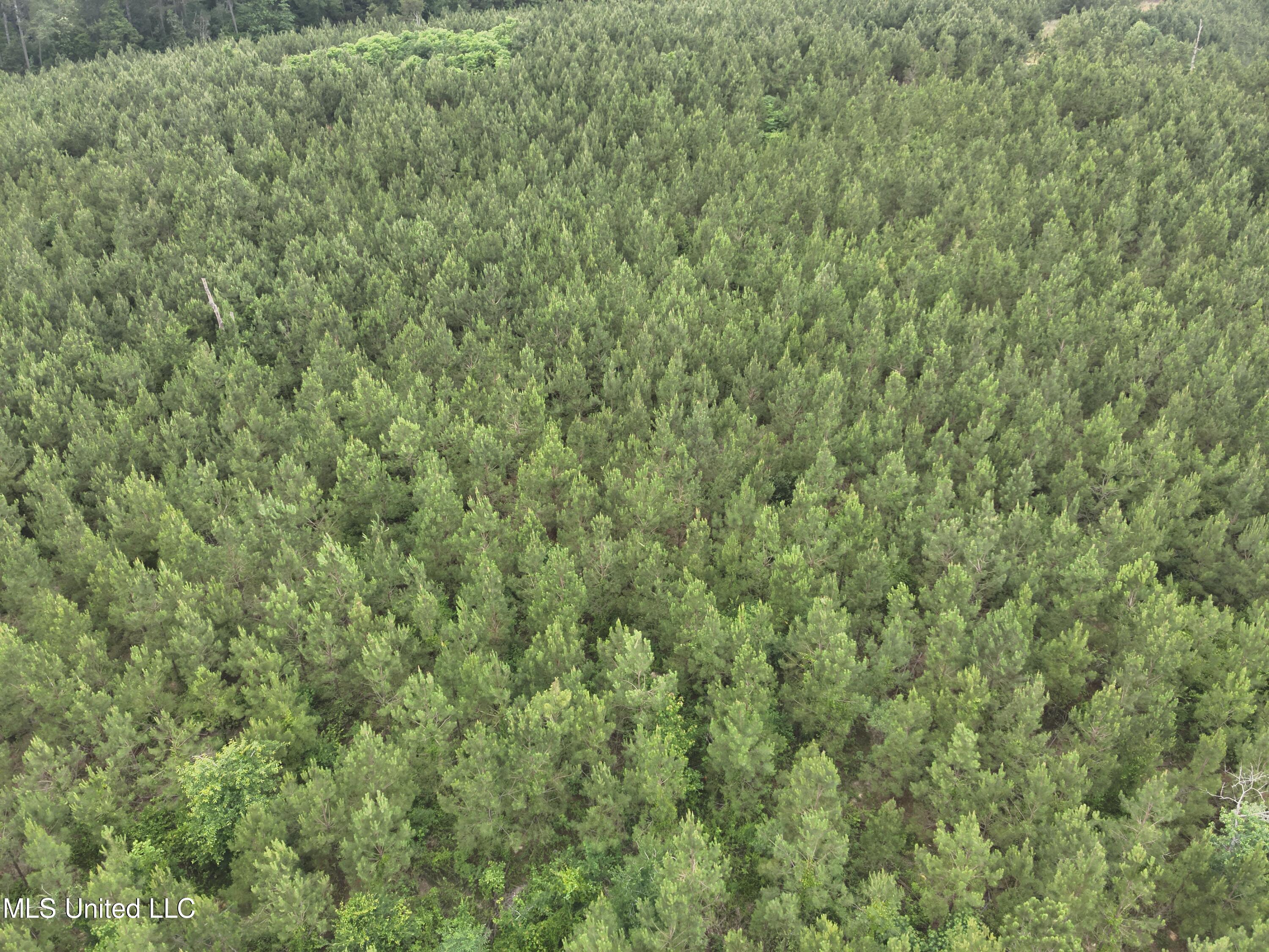 Old Pickens Rd Road Property Photo 5