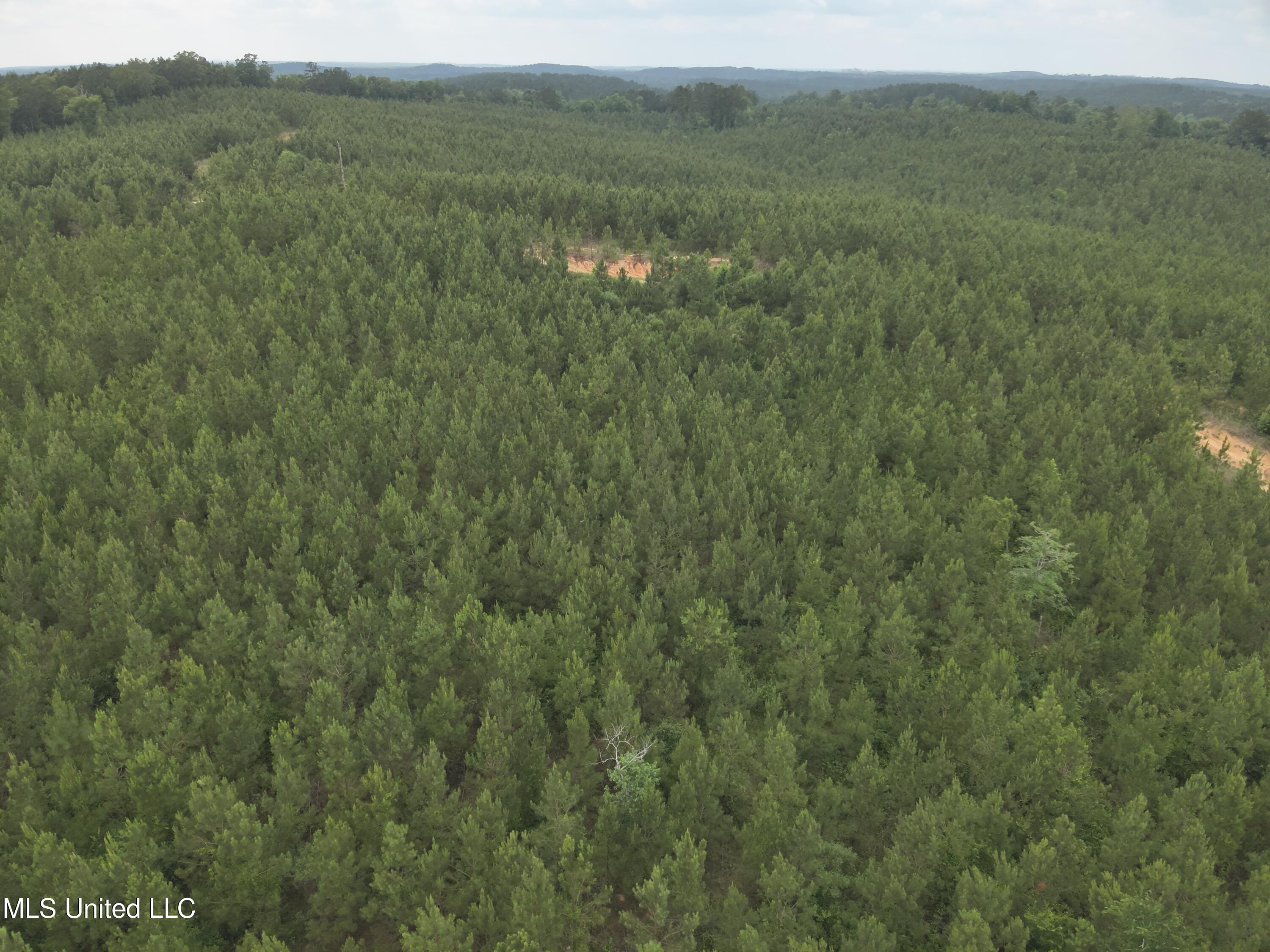 Old Pickens Rd Road Property Photo 6