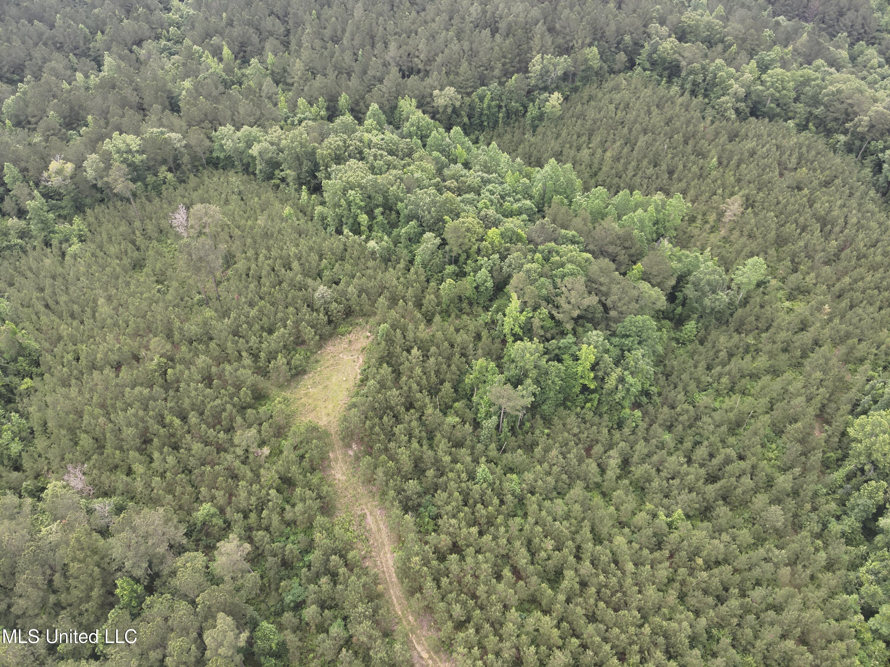 Old Pickens Rd Road Property Photo 9