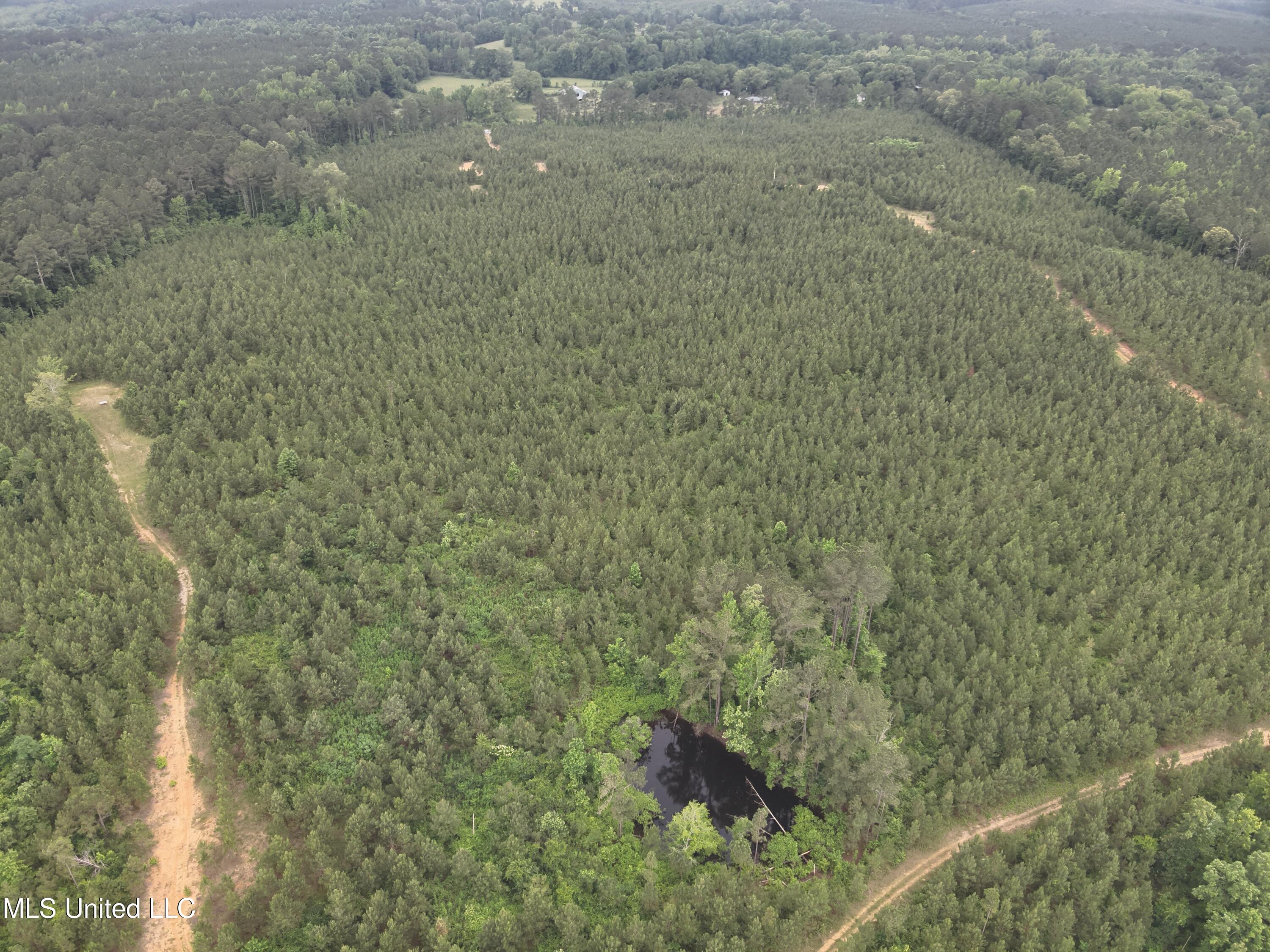 Old Pickens Rd Road Property Photo 10