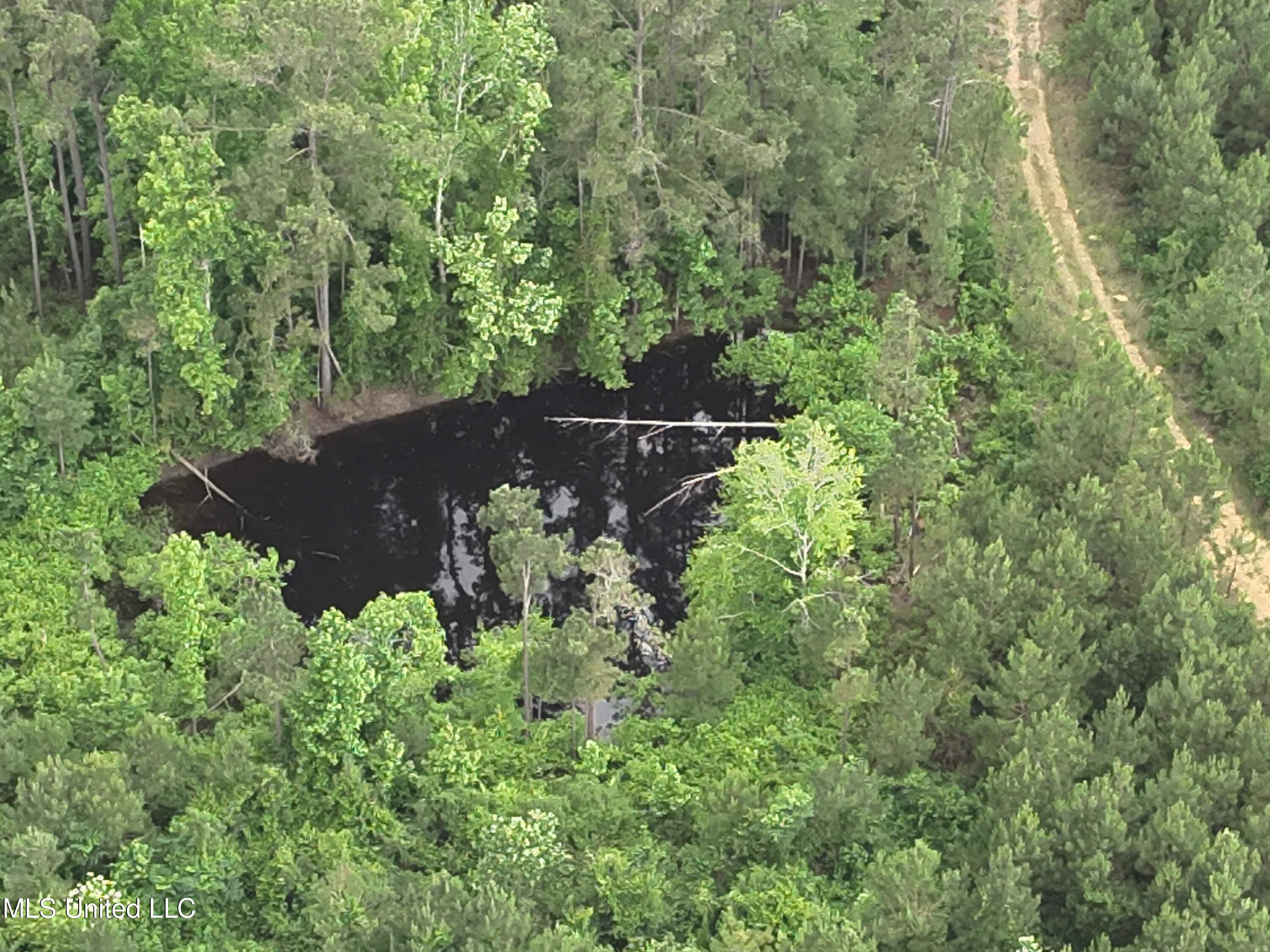 Old Pickens Rd Road Property Photo 11
