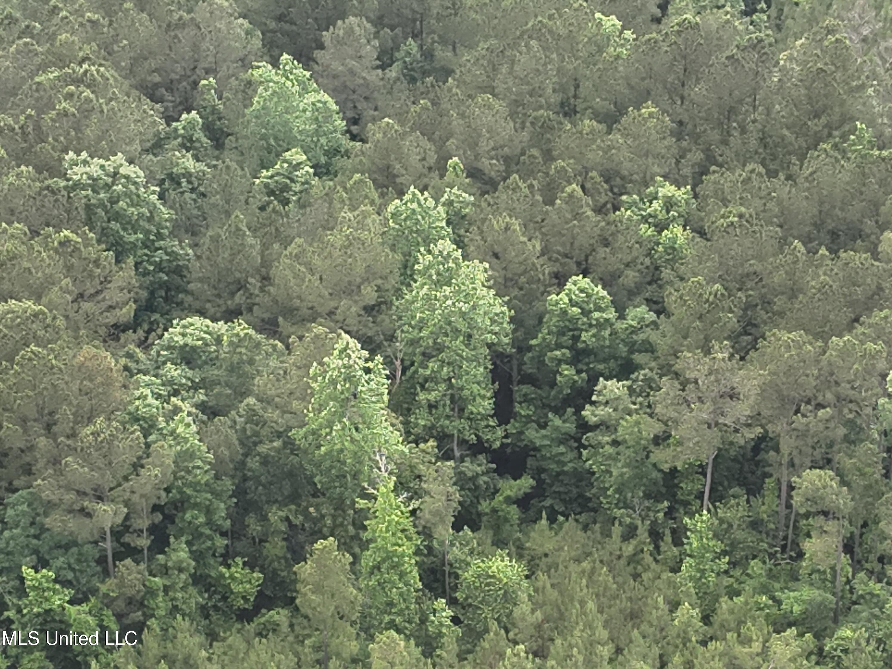 Old Pickens Rd Road Property Photo 12