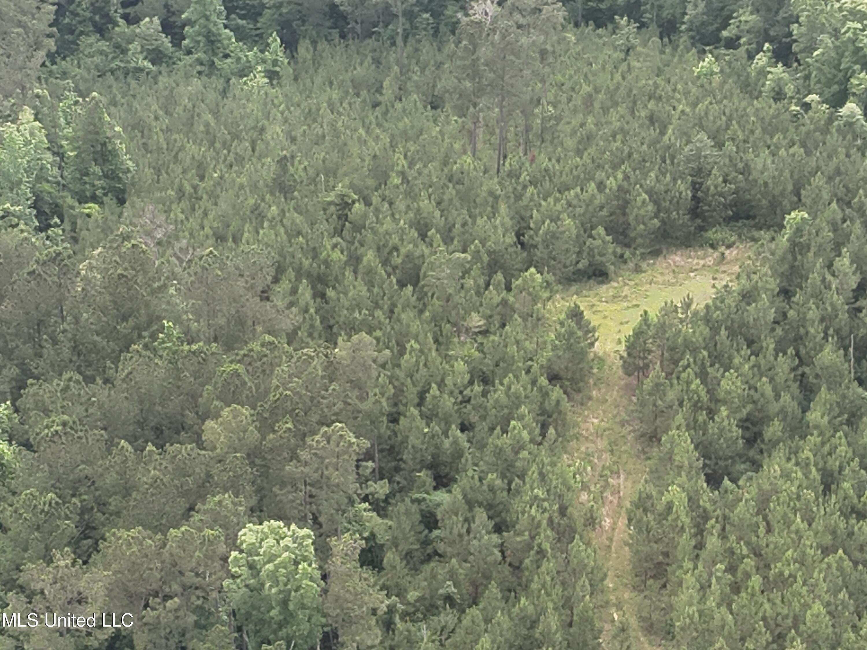 Old Pickens Rd Road Property Photo 13