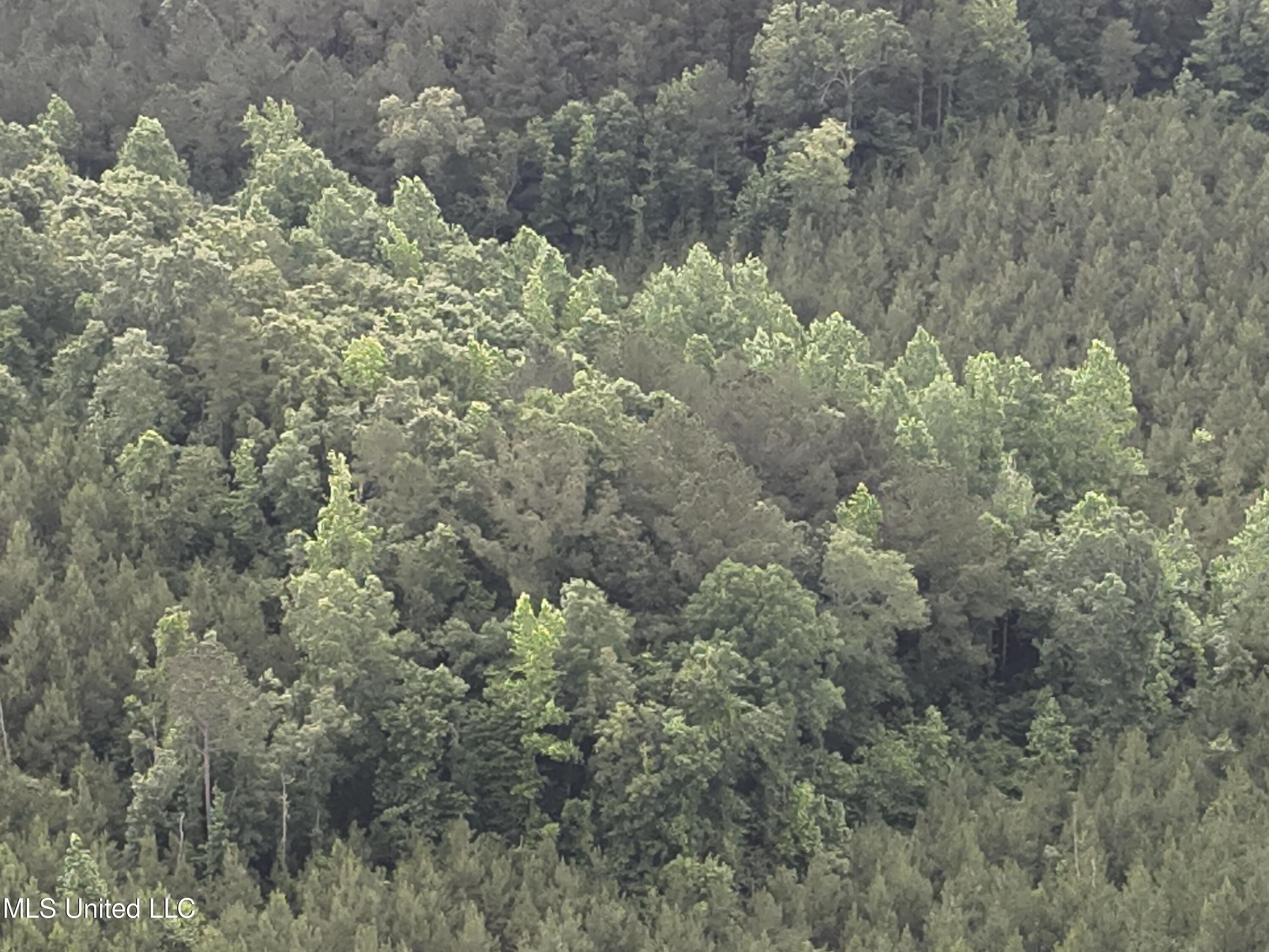 Old Pickens Rd Road Property Photo 14