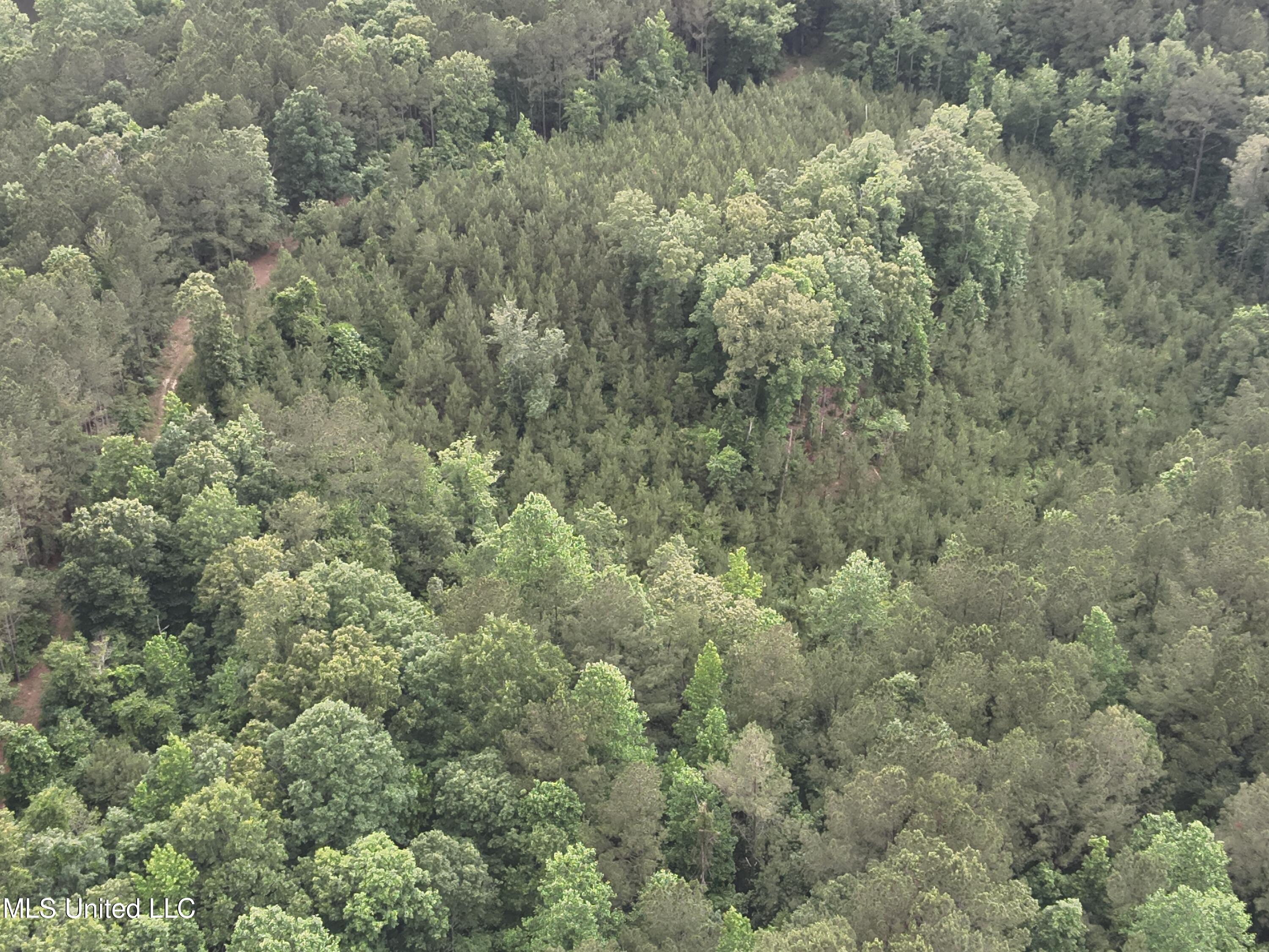 Old Pickens Rd Road Property Photo 15