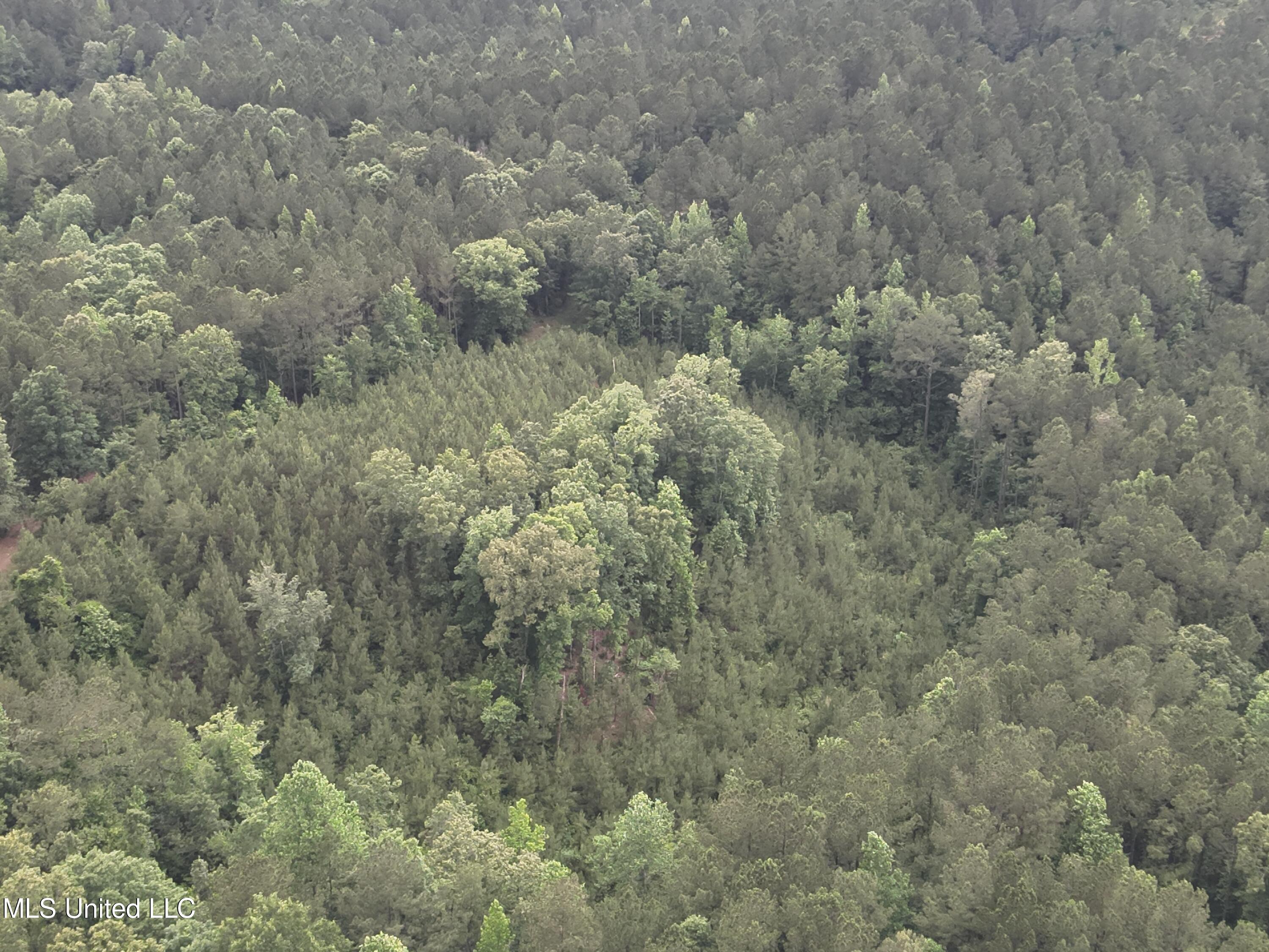 Old Pickens Rd Road Property Photo 16