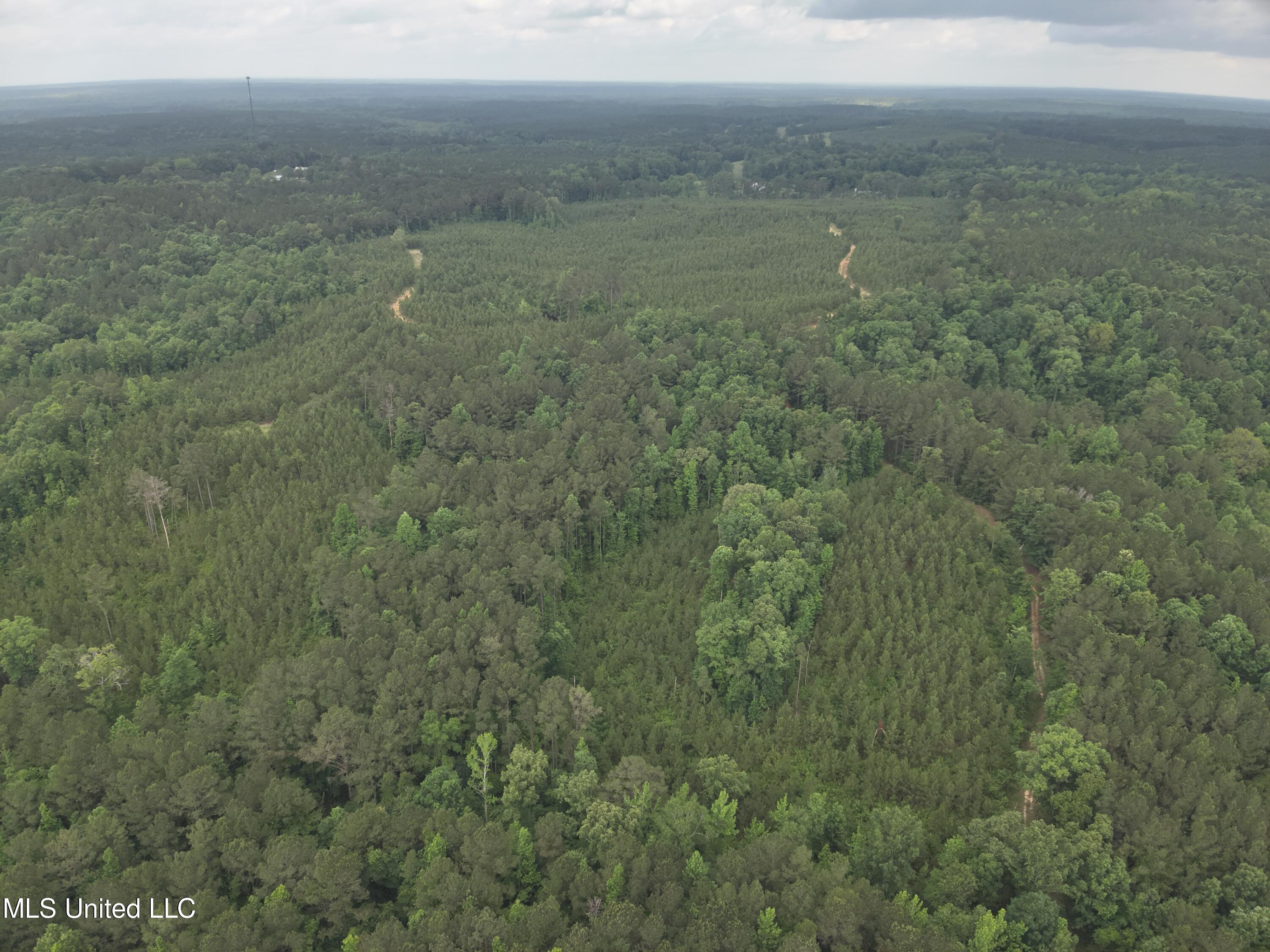 Old Pickens Rd Road Property Photo 19
