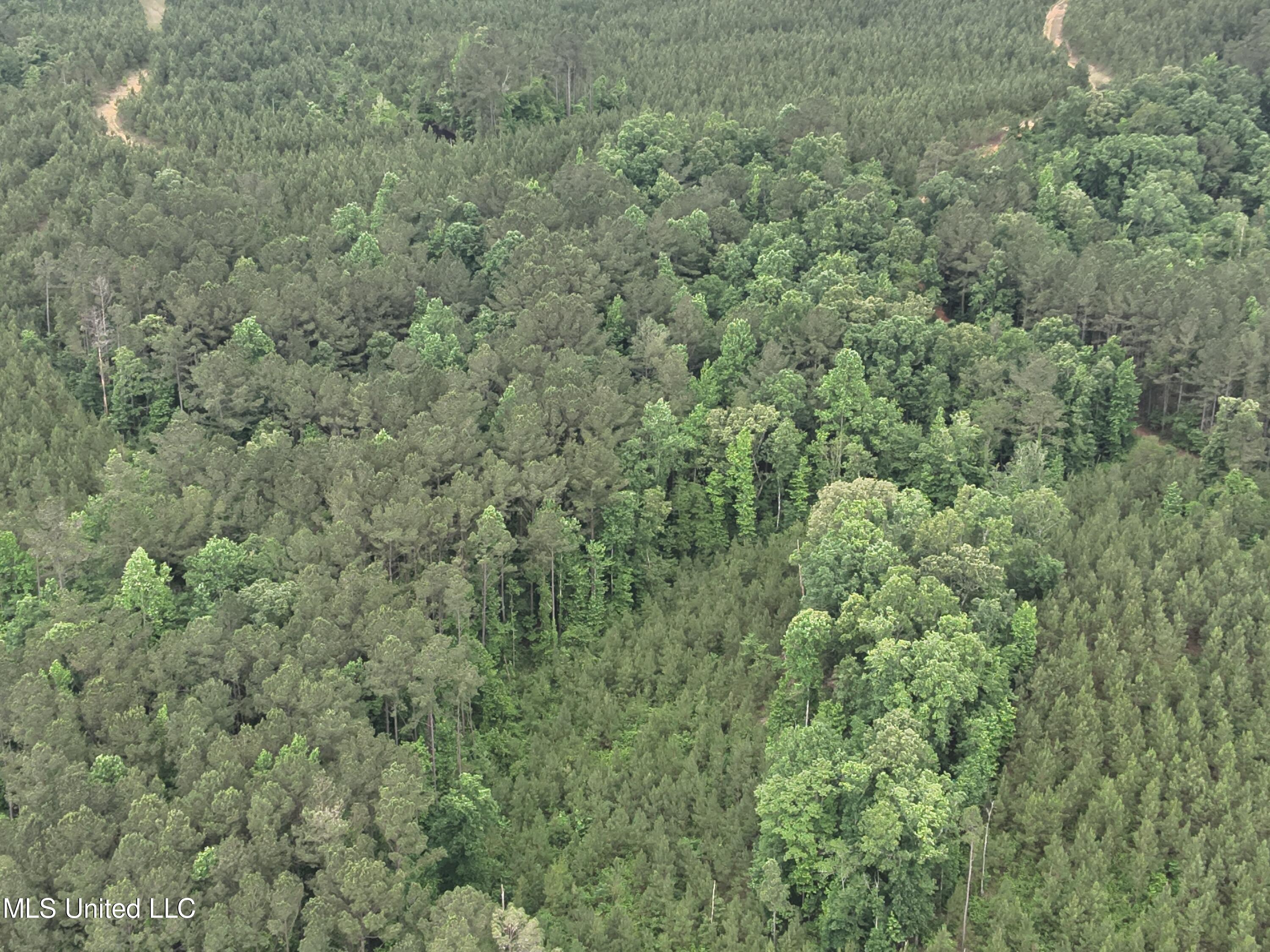 Old Pickens Rd Road Property Photo 20