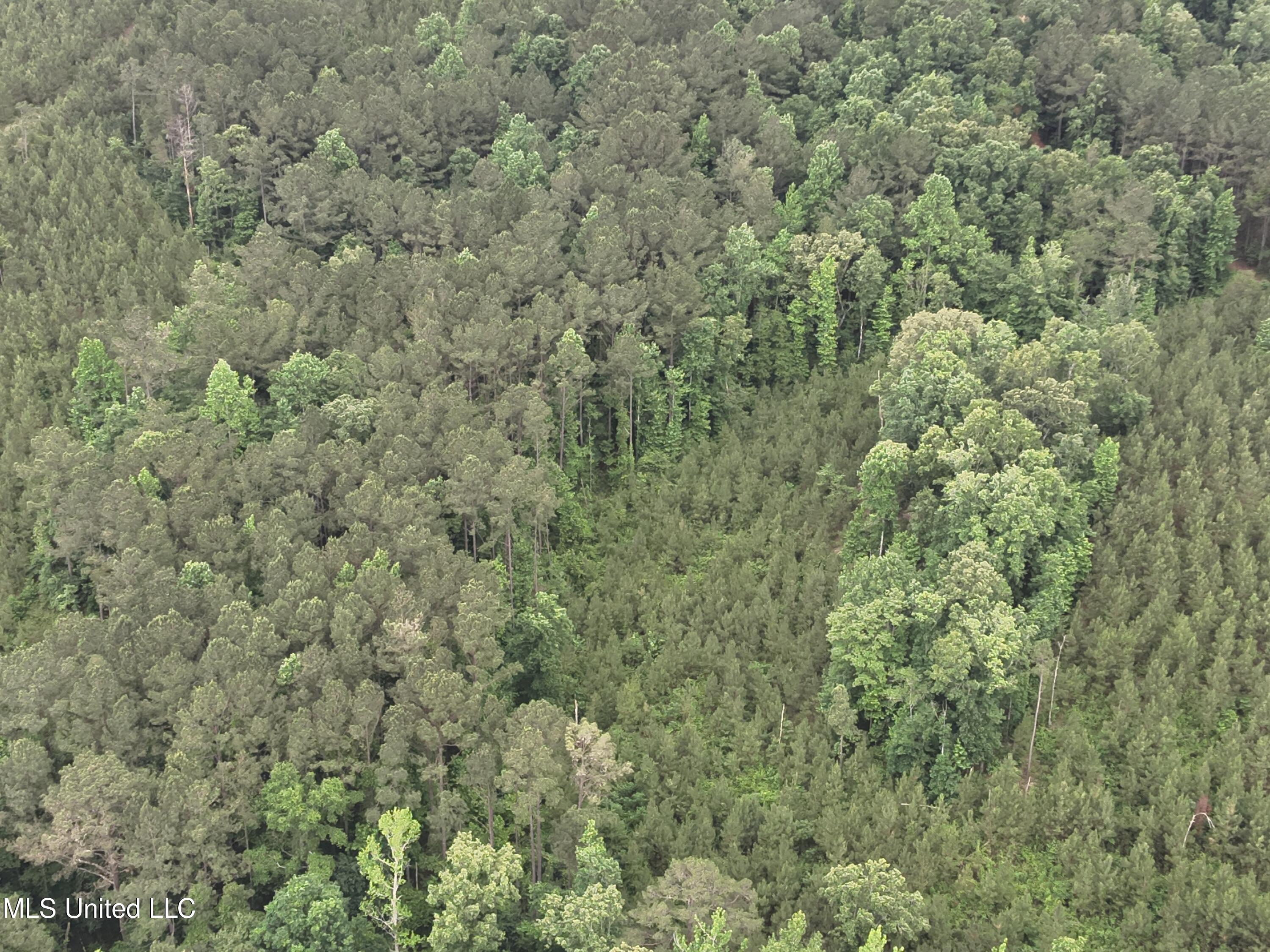 Old Pickens Rd Road Property Photo 24