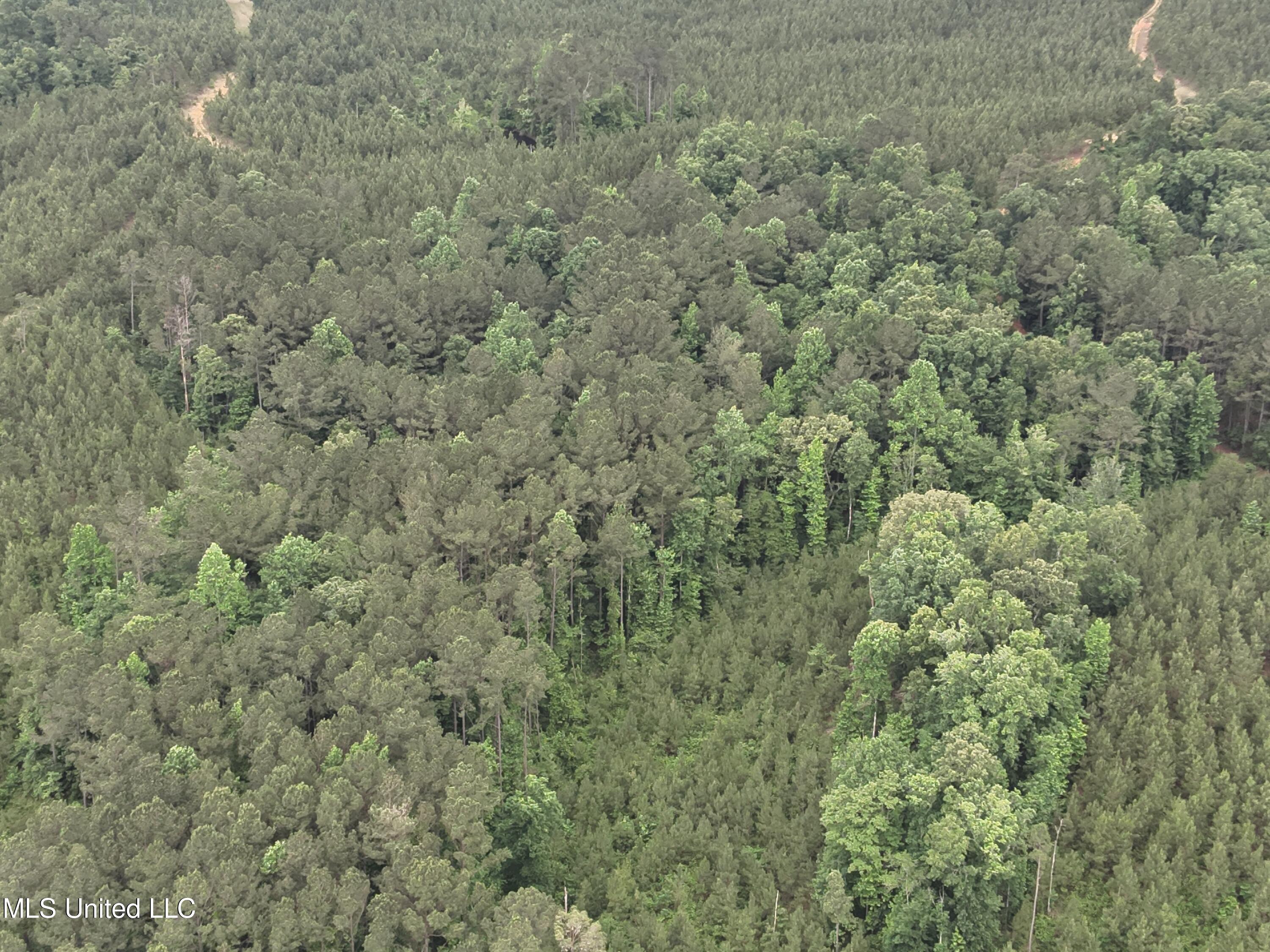 Old Pickens Rd Road Property Photo 25