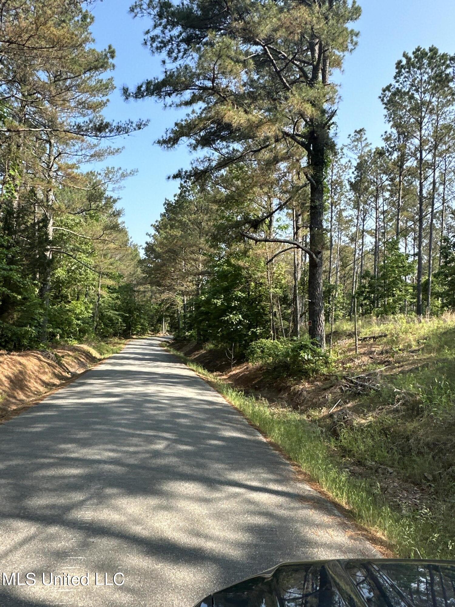 County Rd 323 Property Photo 17