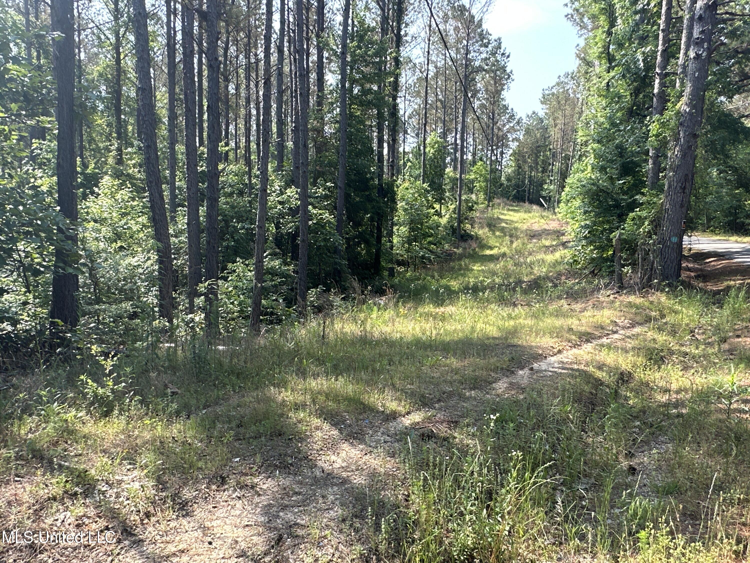 County Rd 323 Property Photo 18