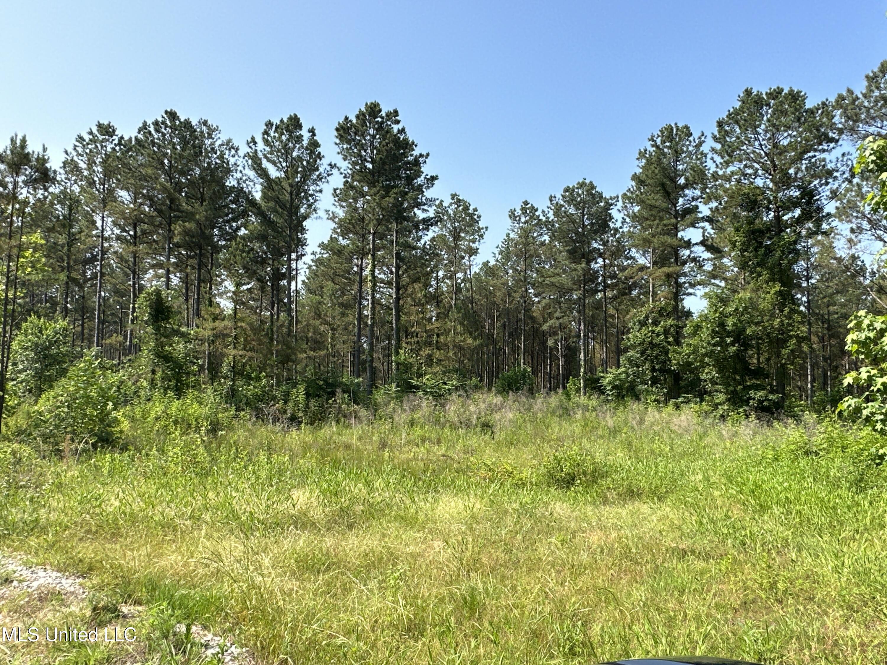 County Rd 323 Property Photo 22