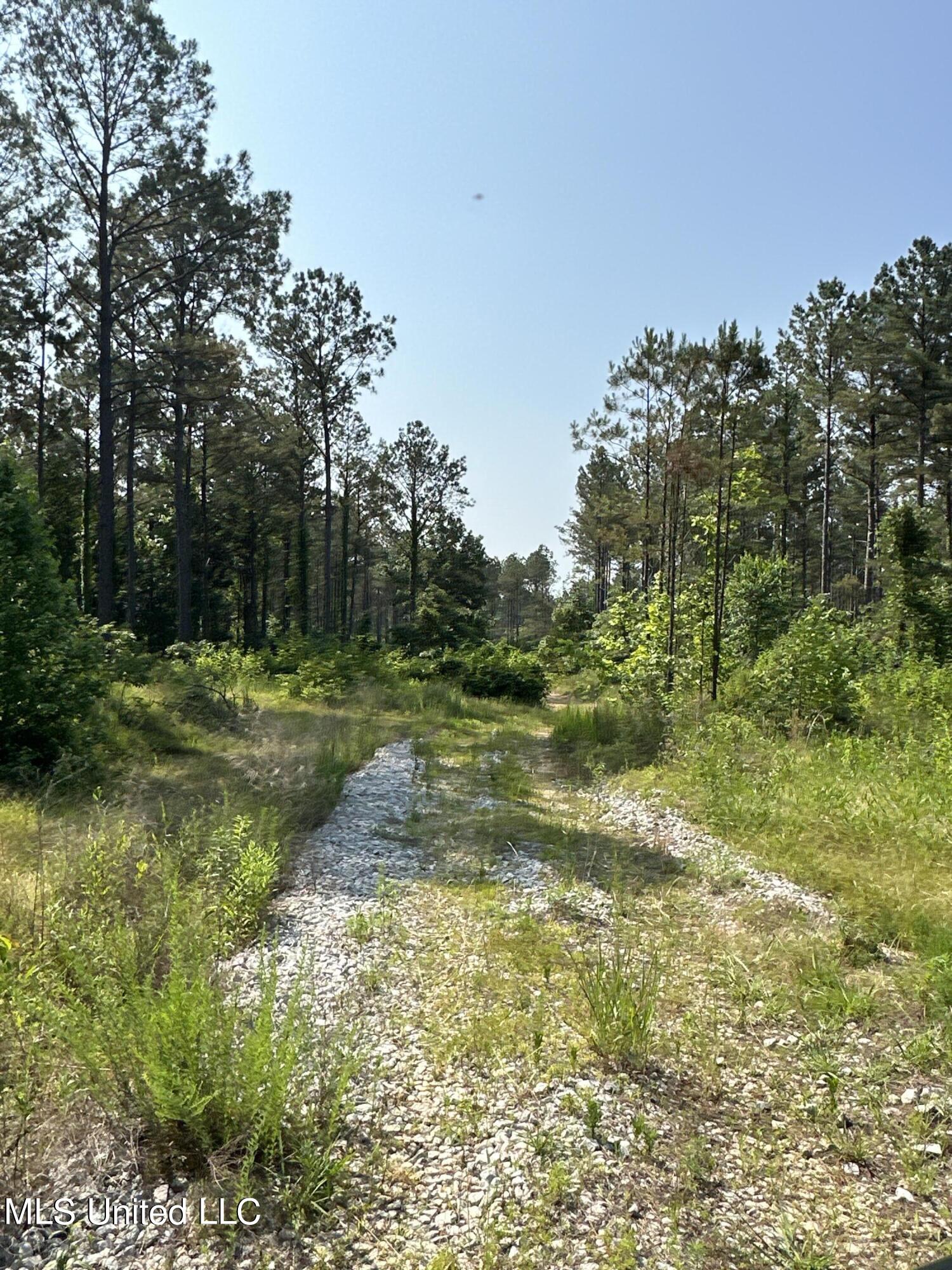 County Rd 323 Property Photo 23