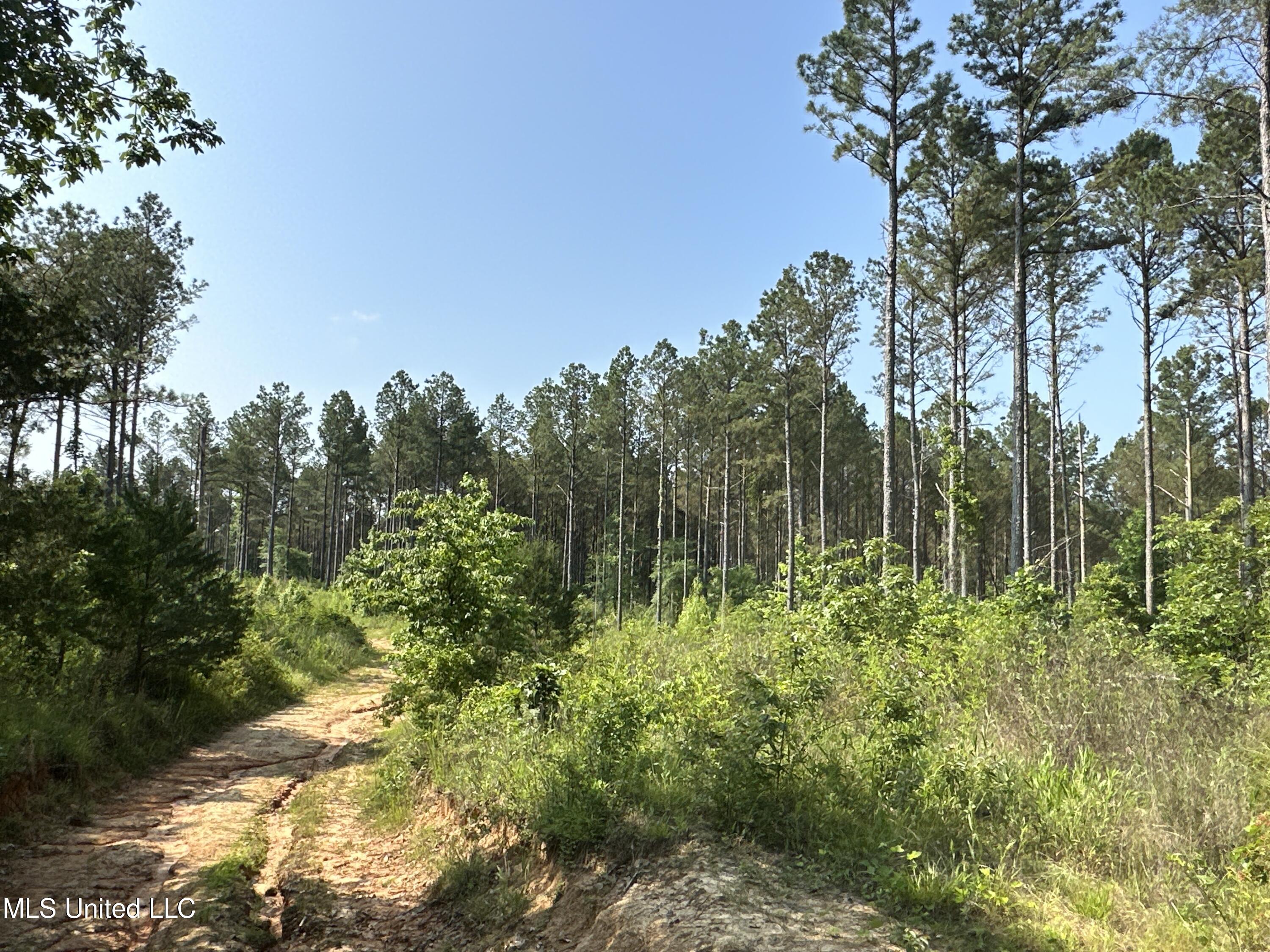 County Rd 323 Property Photo 24