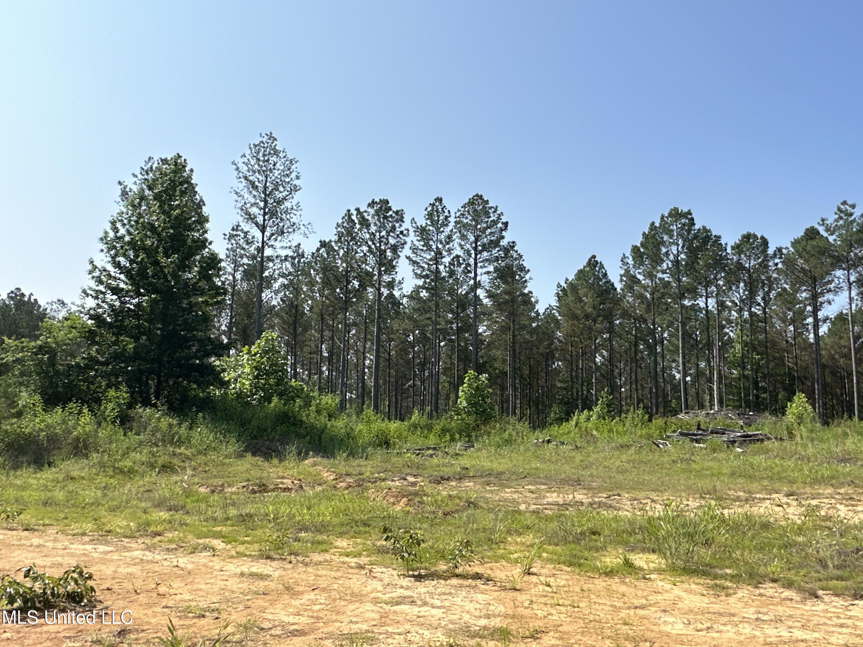 County Rd 323 Property Photo 26