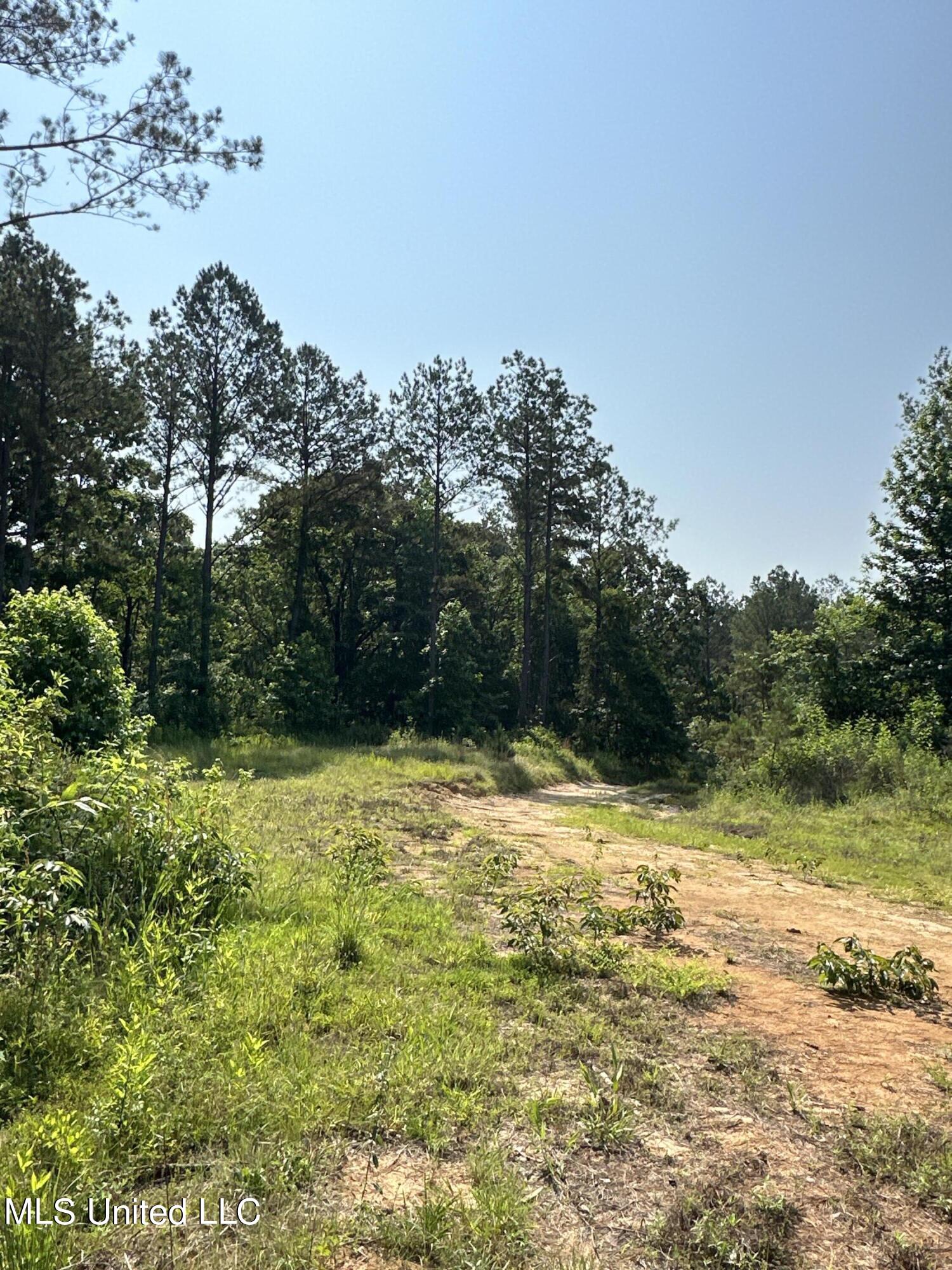 County Rd 323 Property Photo 27