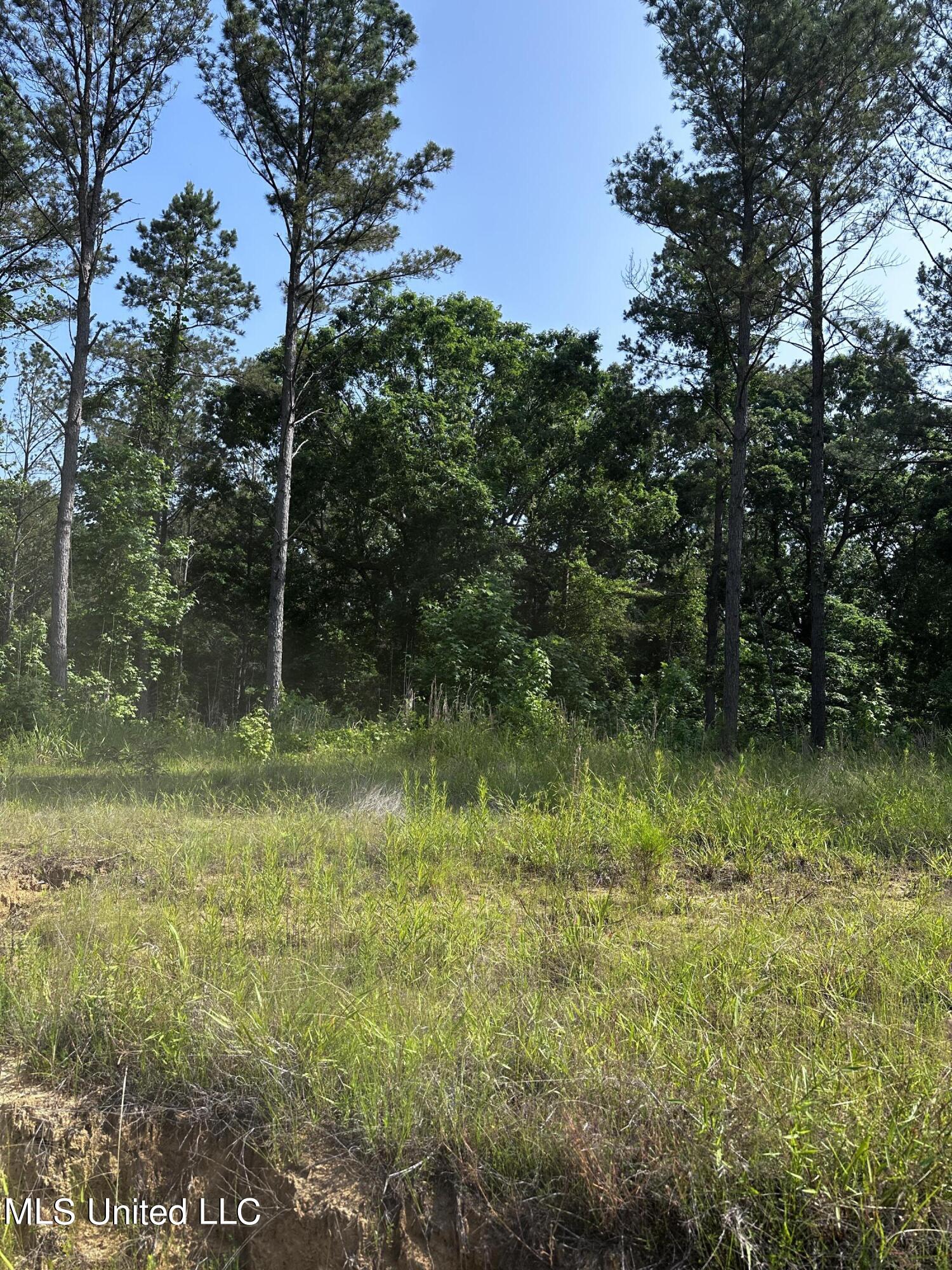 County Rd 323 Property Photo 28