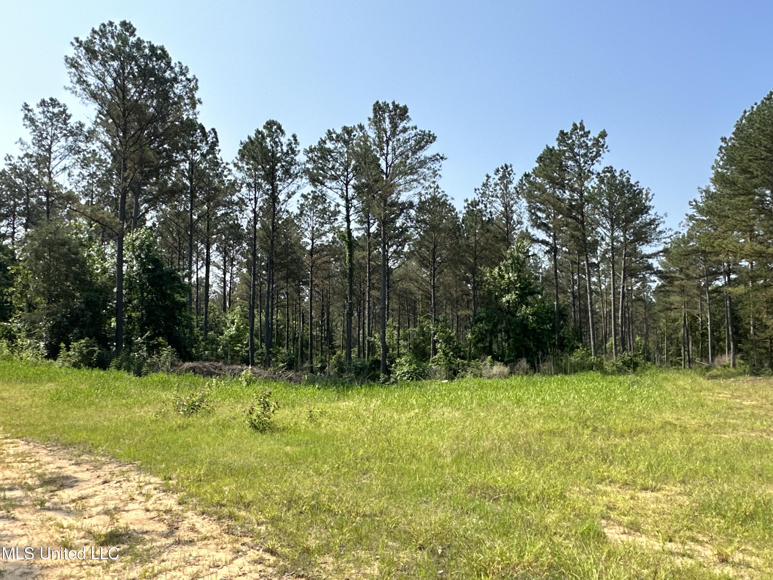 County Rd 323 Property Photo 29