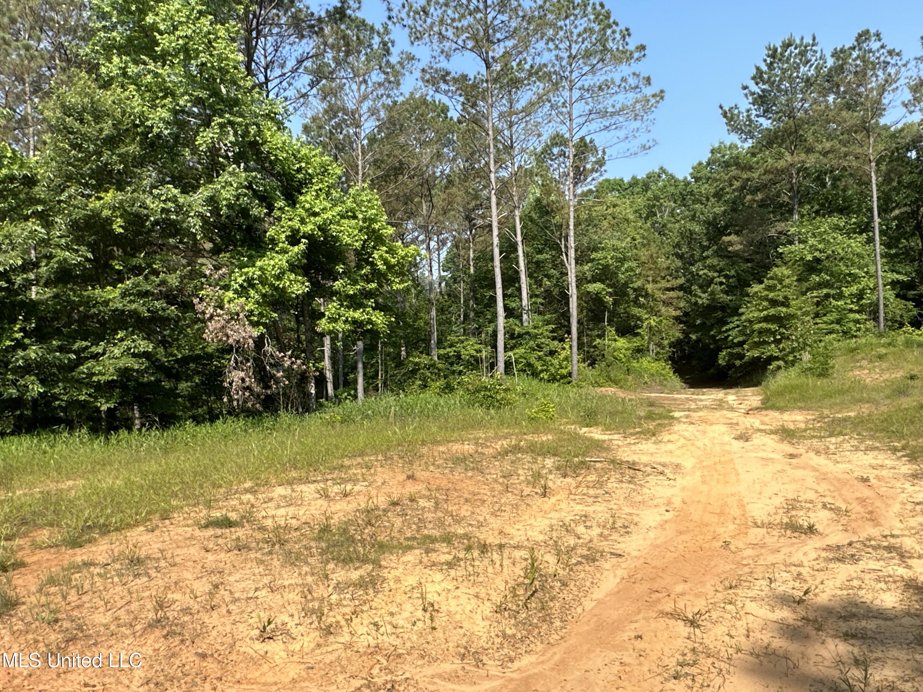 County Rd 323 Property Photo 30