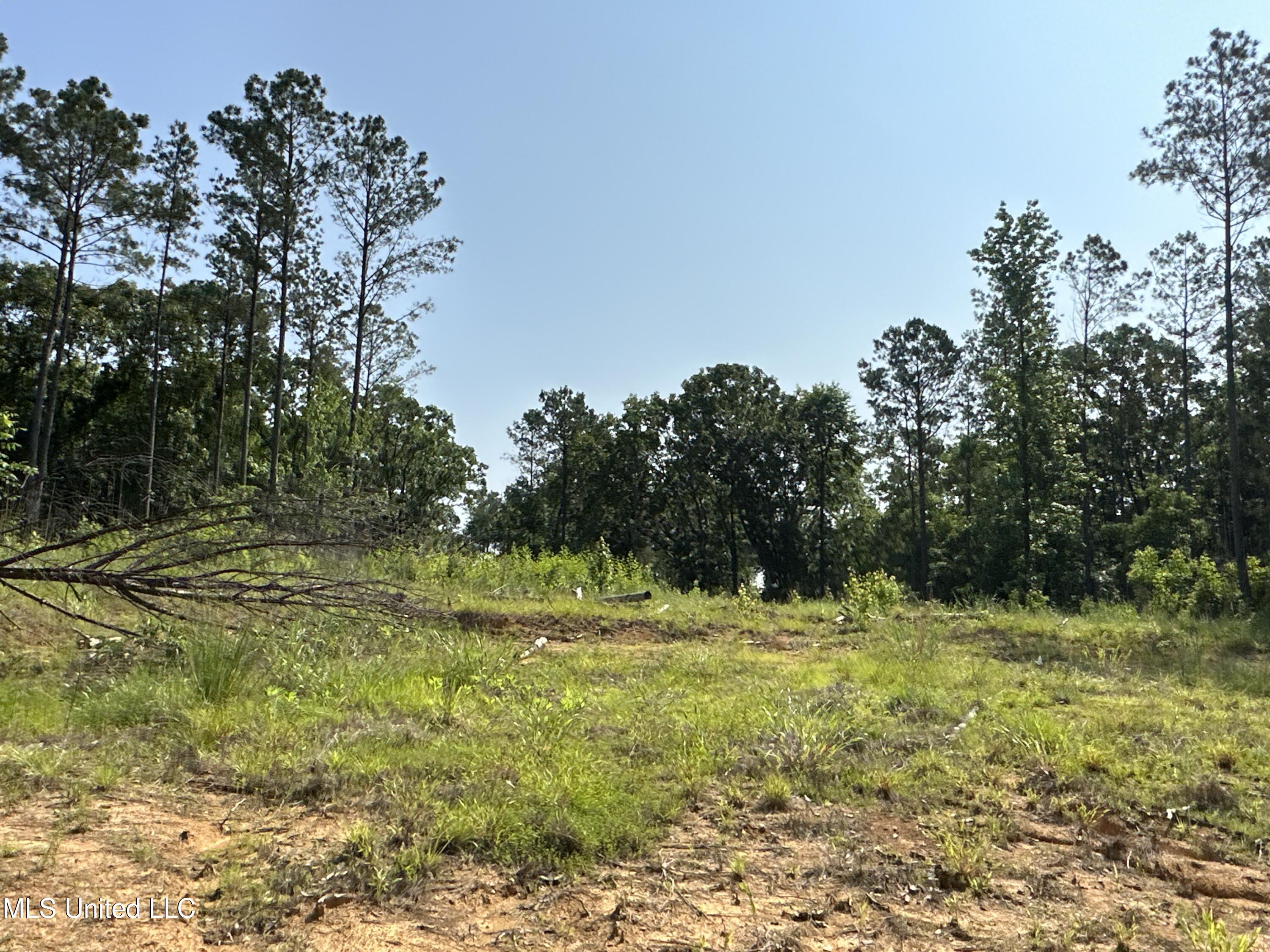 County Rd 323 Property Photo 31