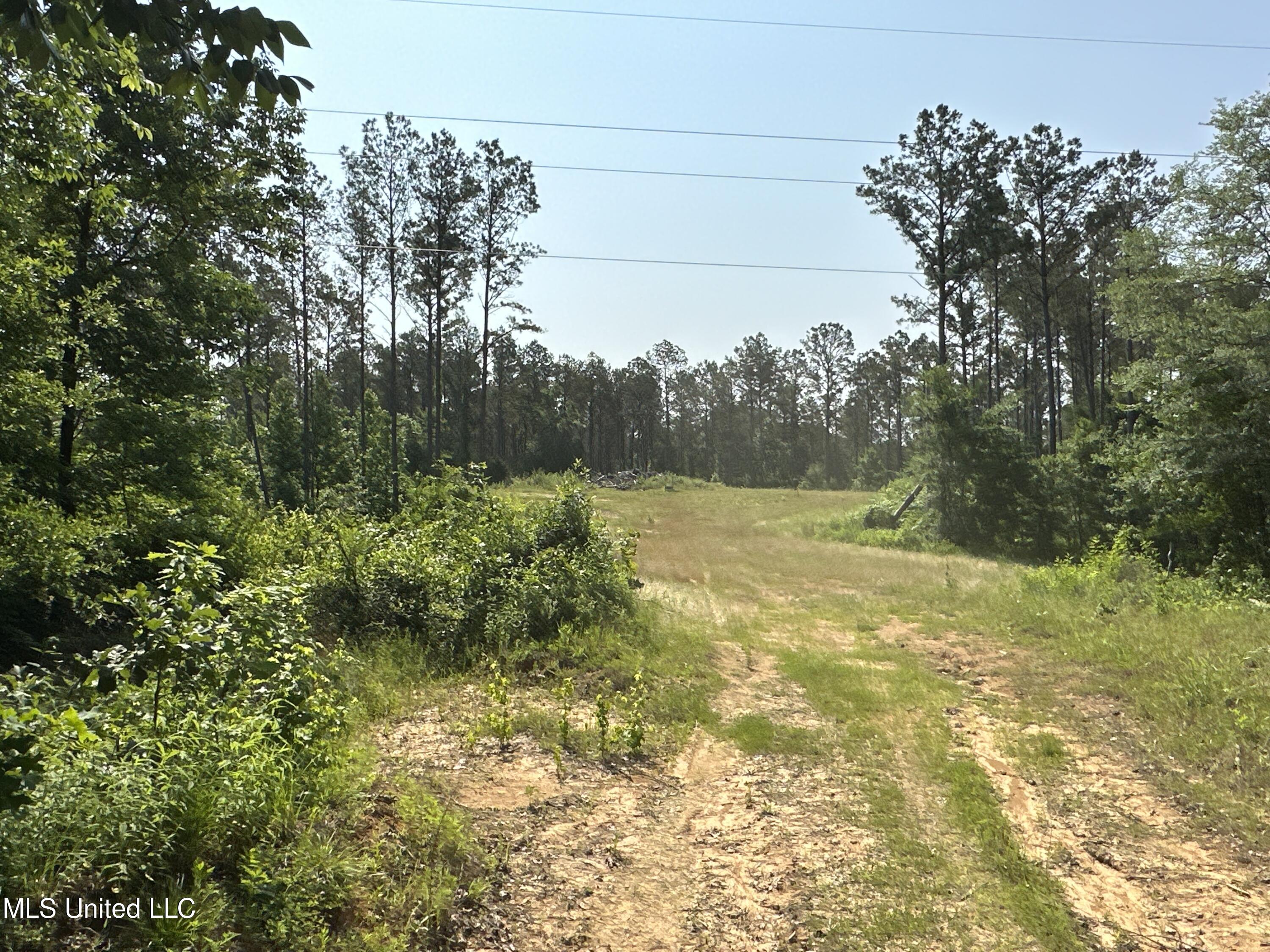 County Rd 323 Property Photo 32