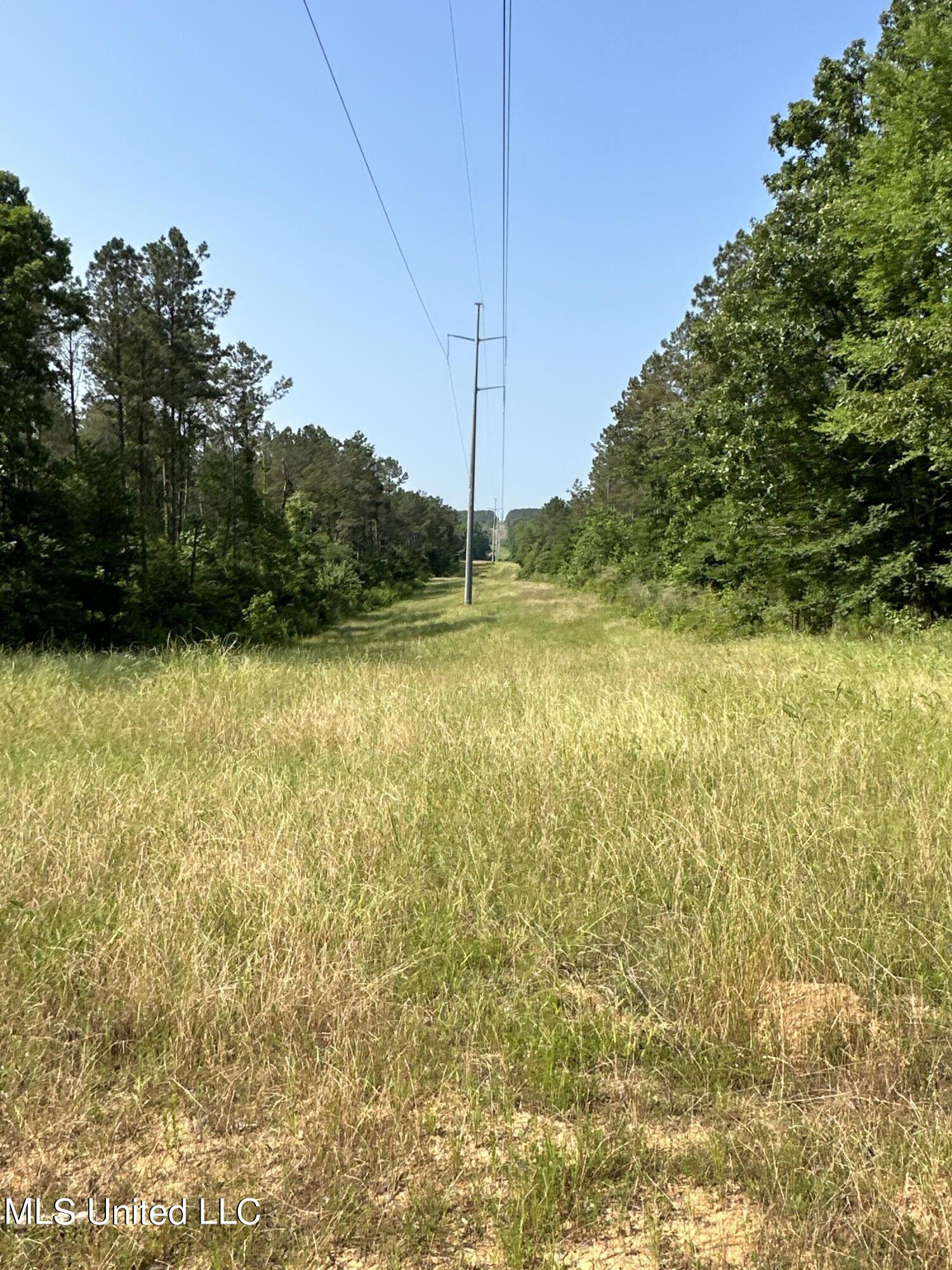 County Rd 323 Property Photo 33