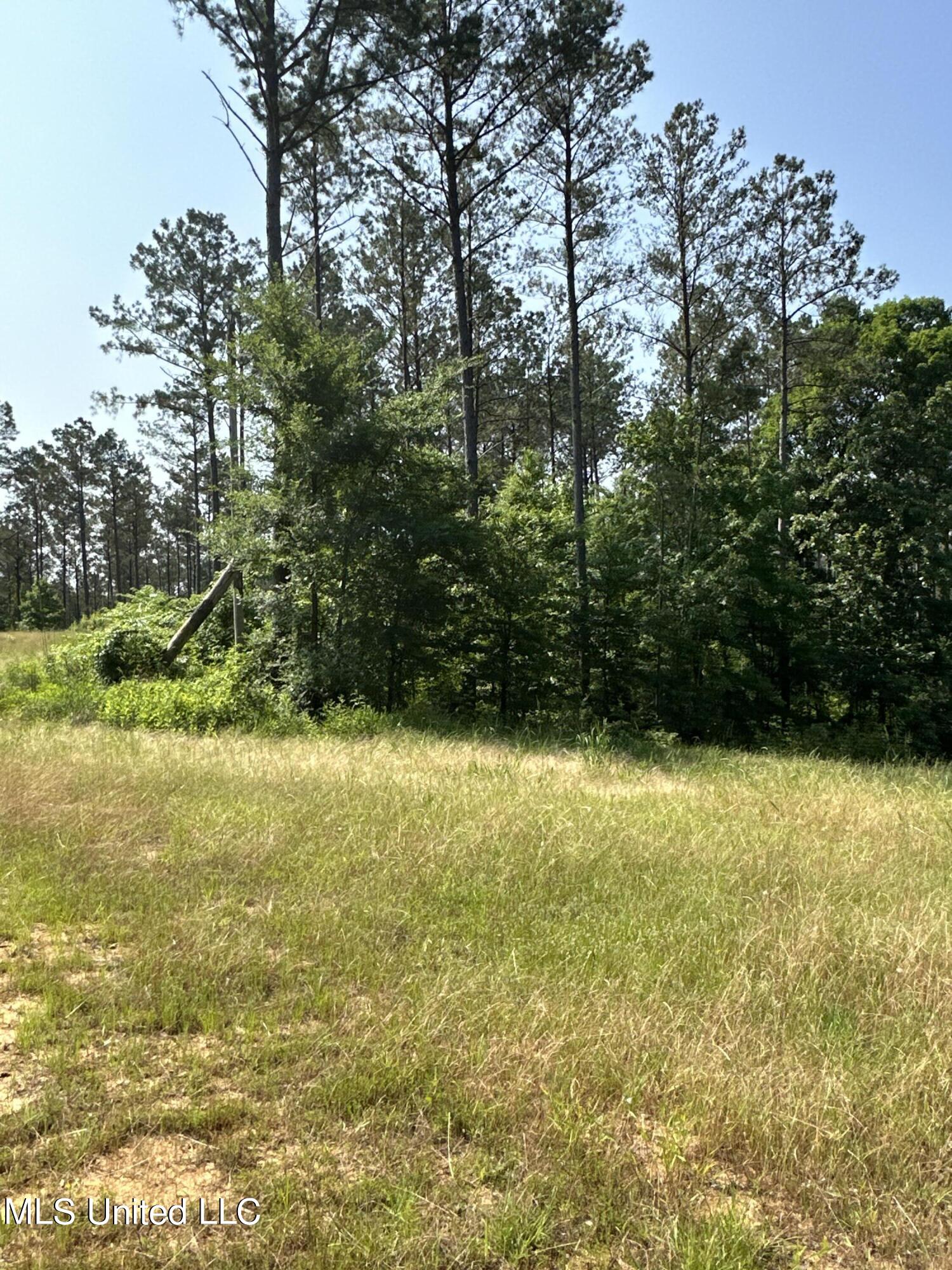 County Rd 323 Property Photo 34