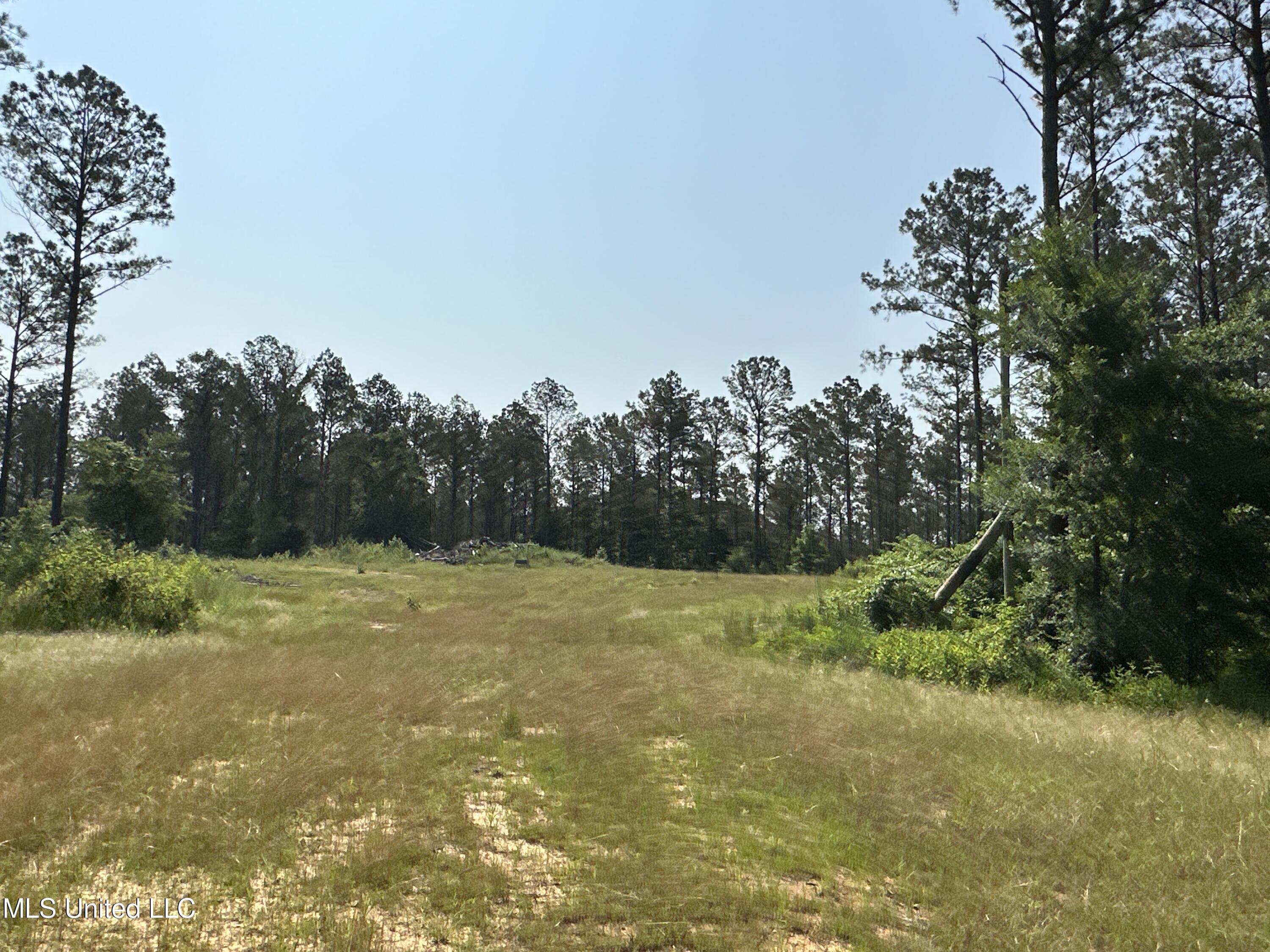 County Rd 323 Property Photo 35